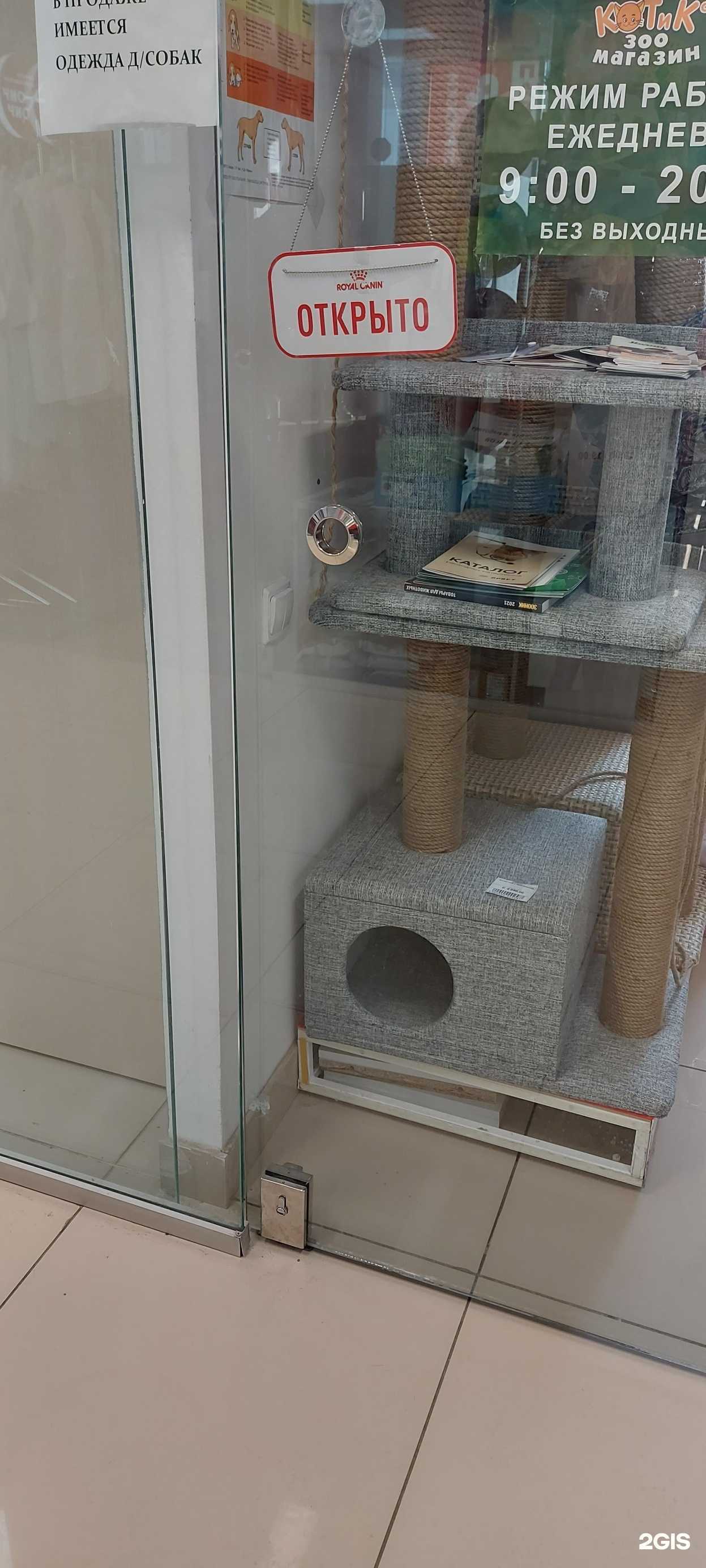 Отзывы на компанию Кот и Ко в г. Пенза c фото