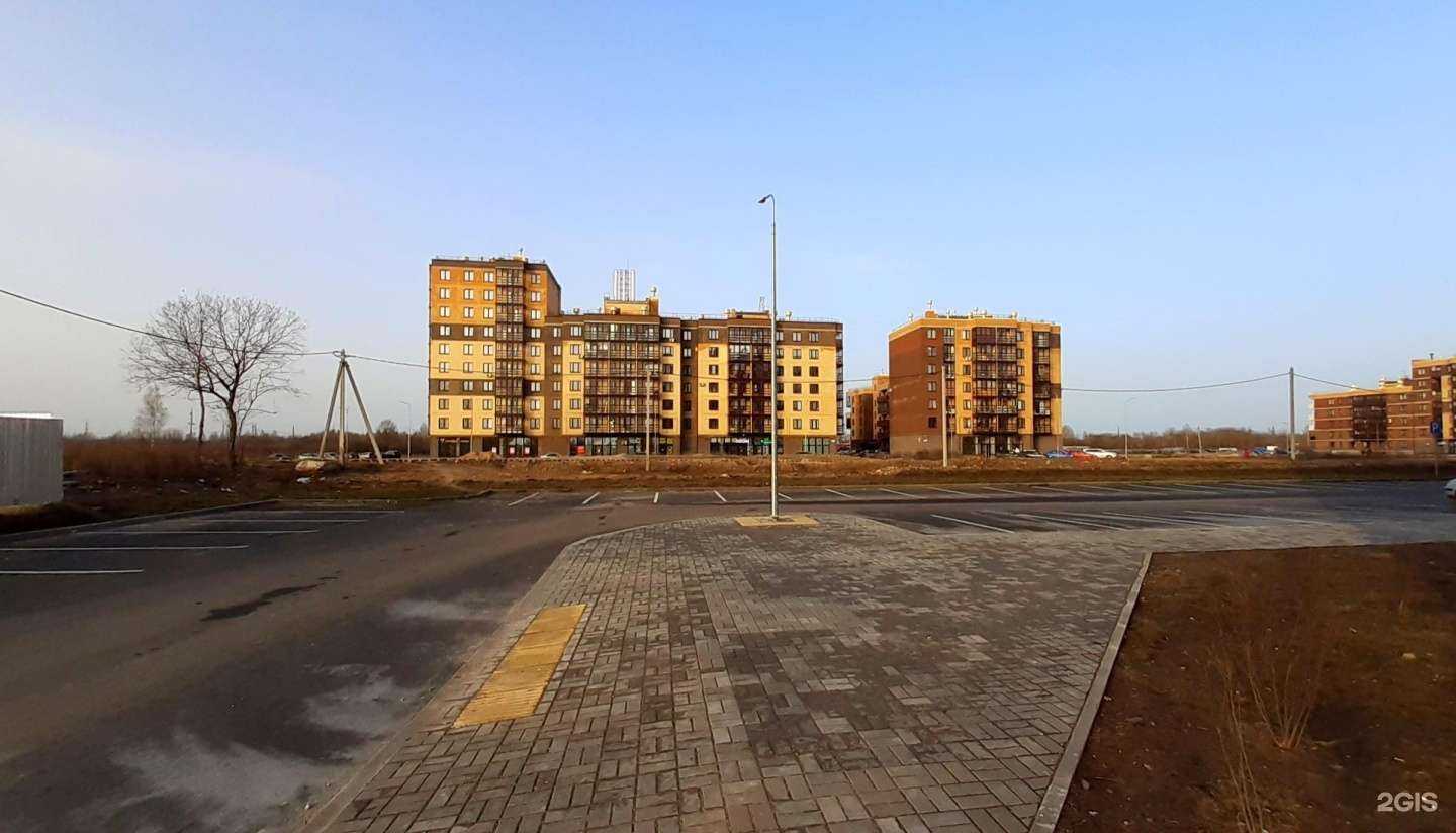 Отзывы на компанию Алгоритмика Псков в Пскове c фото - фотография 2 из 2