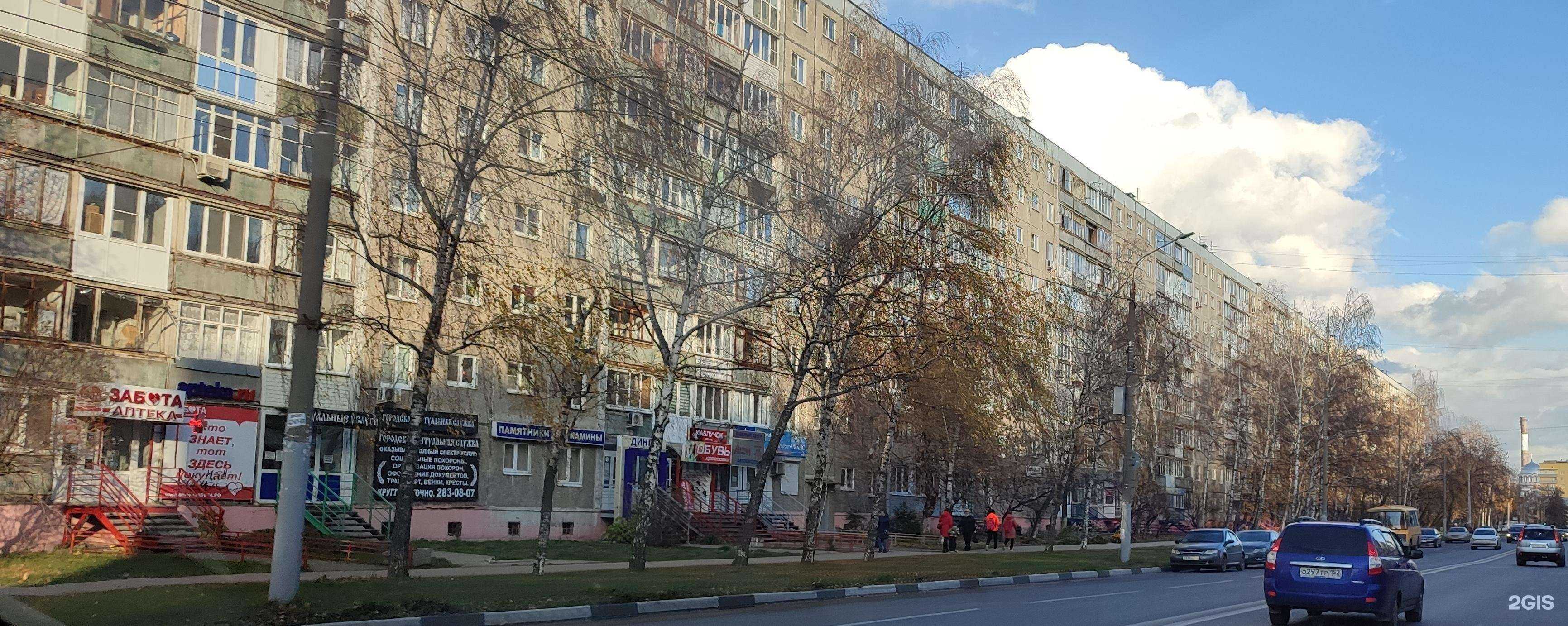 Отзывы на компанию Долголетие в Нижнем Новгороде c фото - фотография 2 из 2