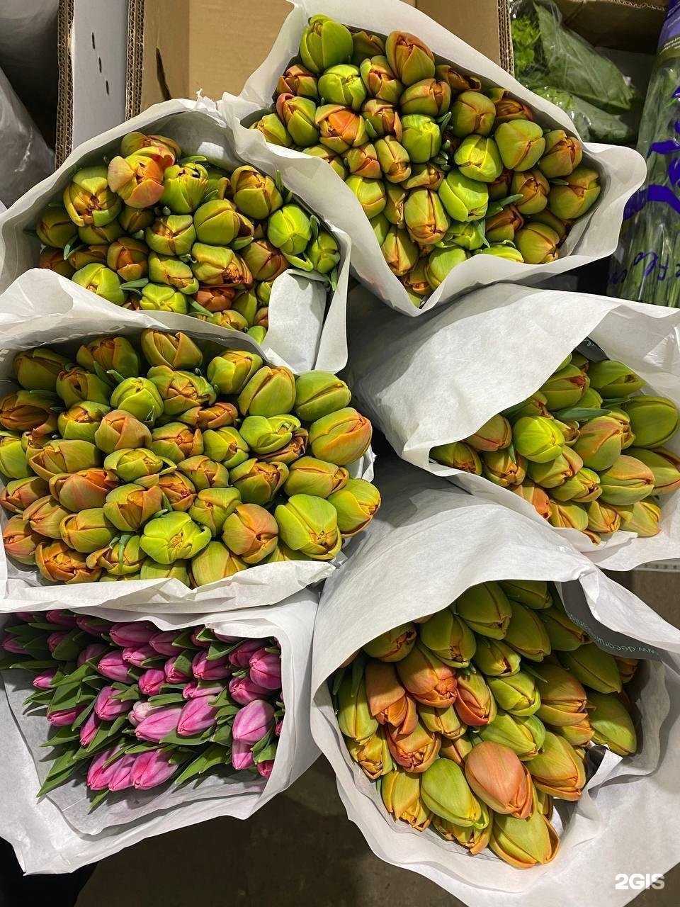 Отзывы на компанию Golden Rose в Рязани c фото