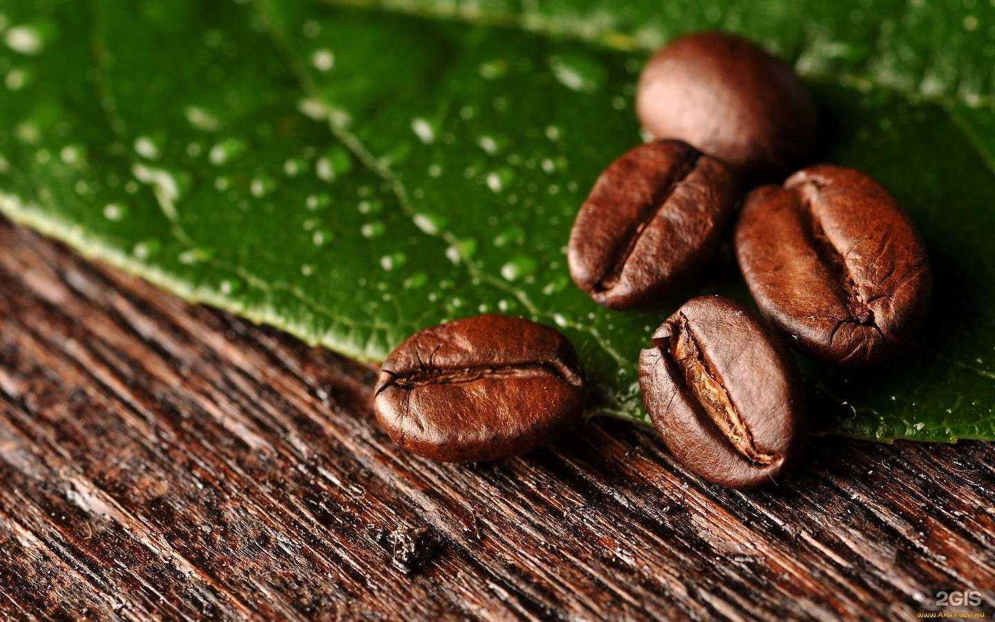 Отзывы на компанию Мой выбор в Туле c фото