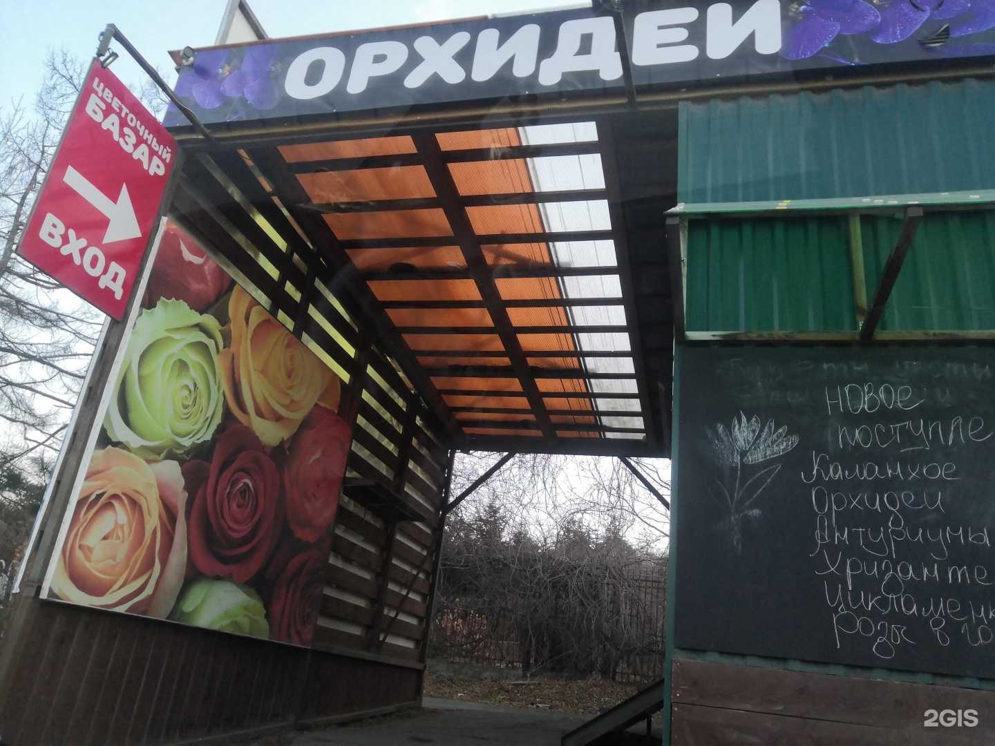 Отзывы на компанию Цветочный базар в г. Владивосток c фото