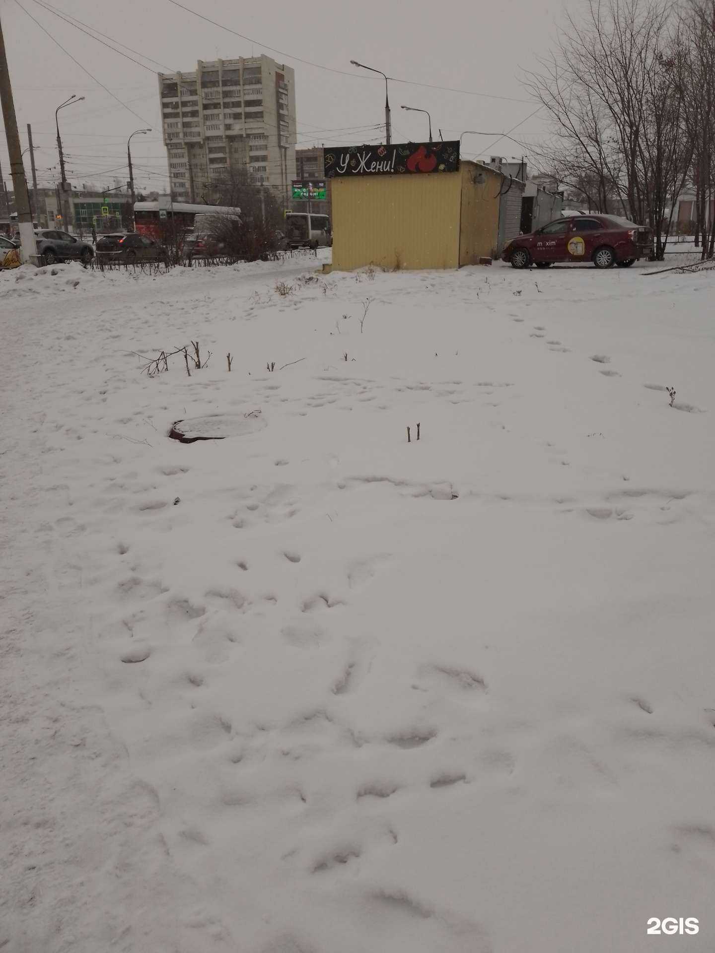 Отзывы на компанию Чебаркульская птица в Магнитогорске c фото - фотография 2 из 2