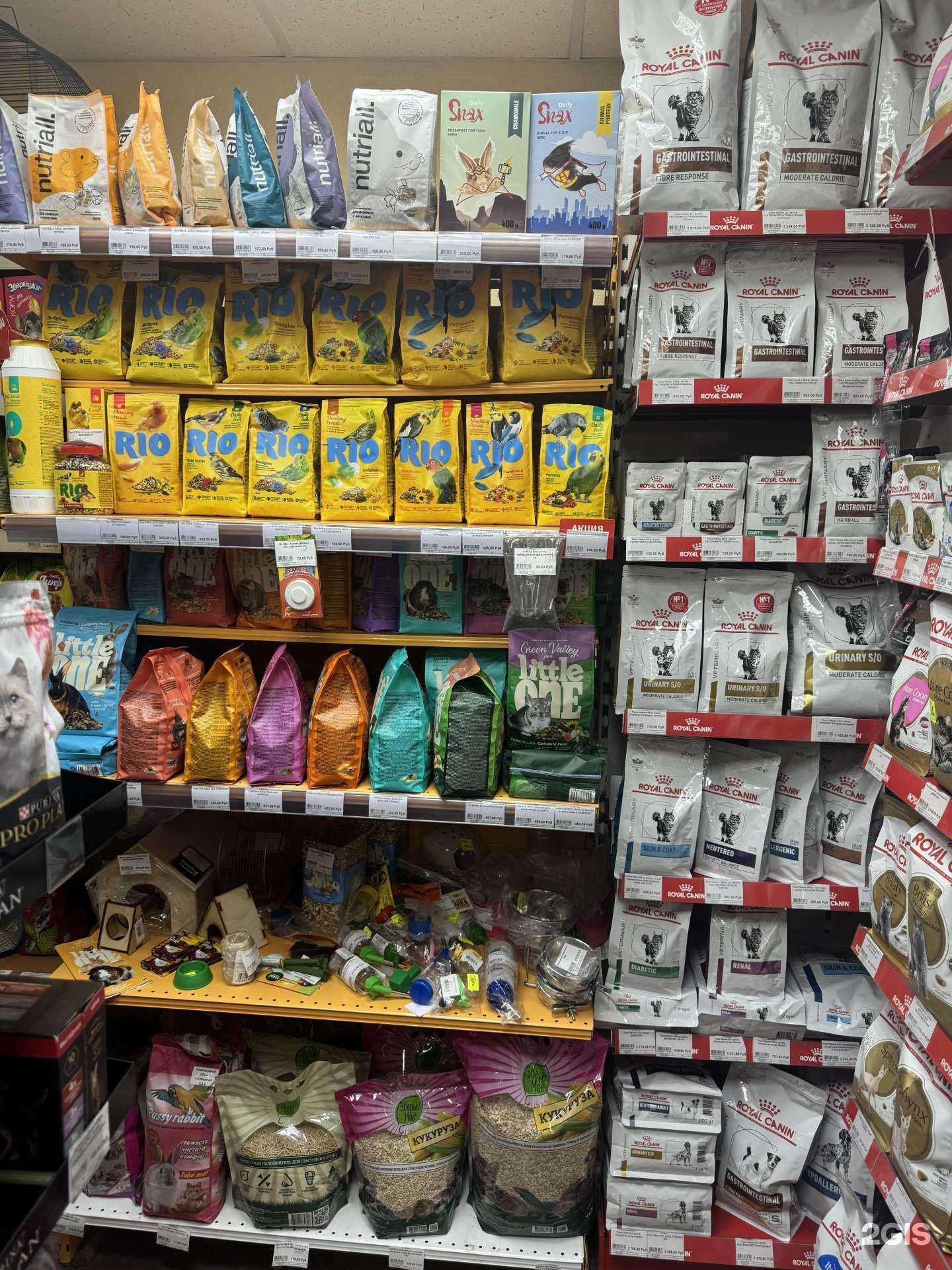 Отзывы на компанию Кот Леопольд в Иванове c фото