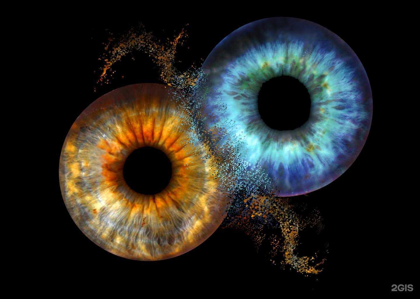 Отзывы на компанию Центр фотоуслуг в Волгограде c фото