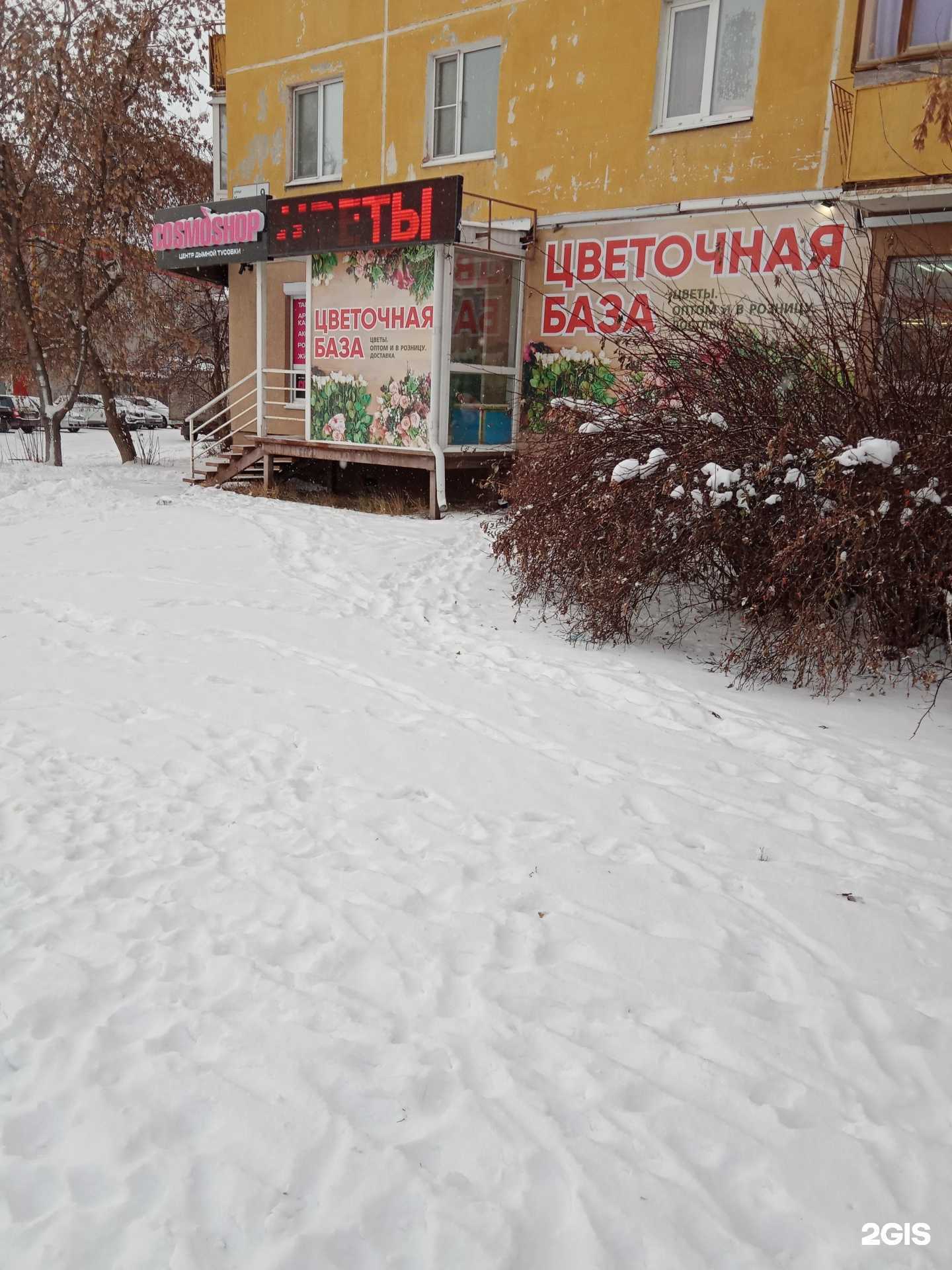 Отзывы на компанию Цветочная база в г. Каменск-Уральский c фото