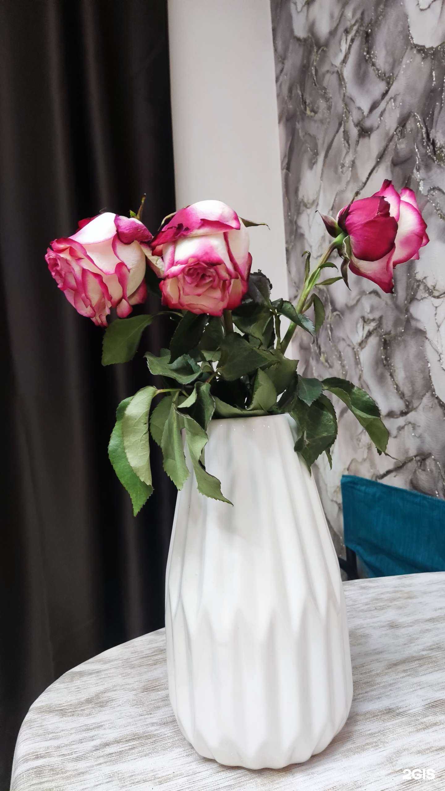 Отзывы на компанию Остров лета в Нижнем Новгороде c фото