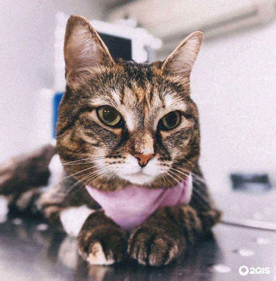 Отзывы на компанию Авва в Новокузнецке c фото