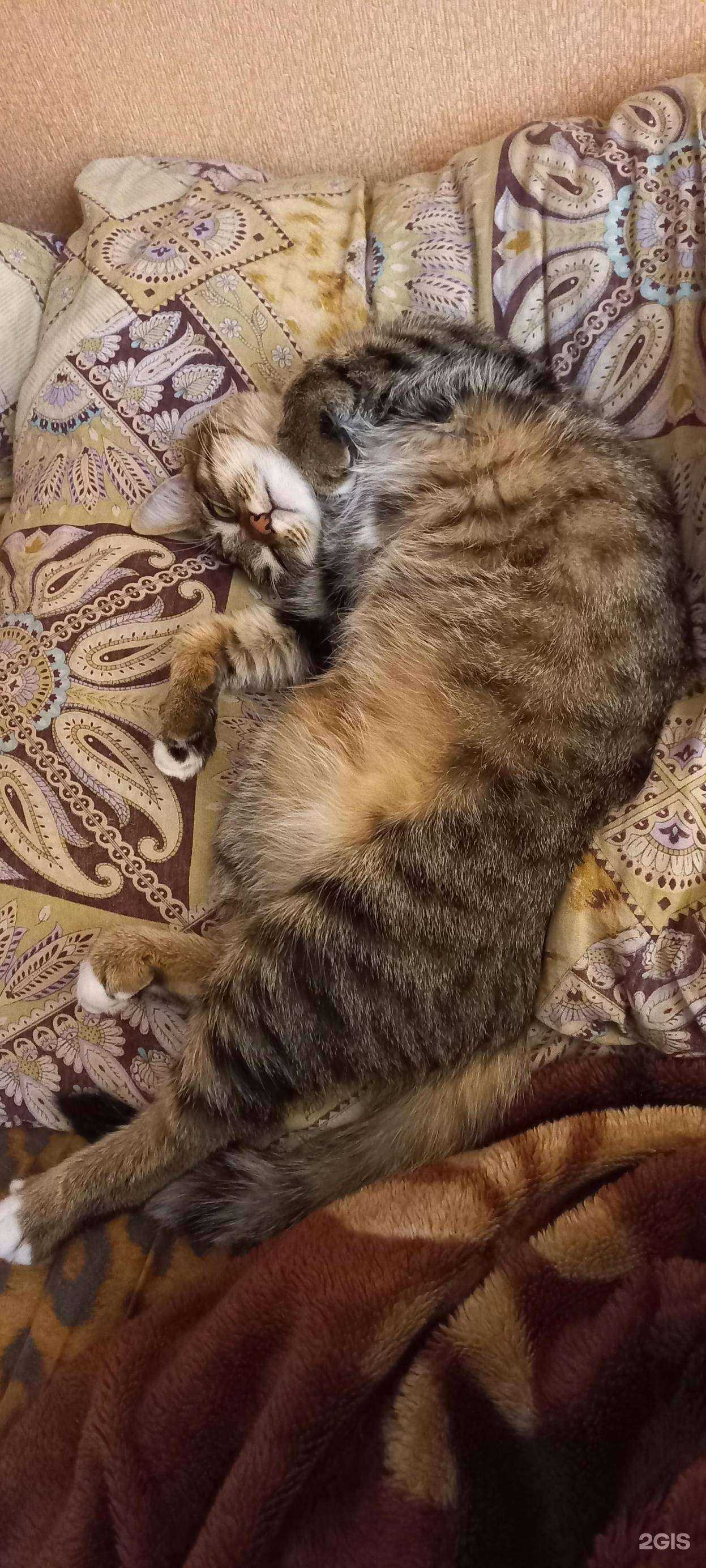 Отзывы на компанию ЗооДисконт в Иркутске c фото