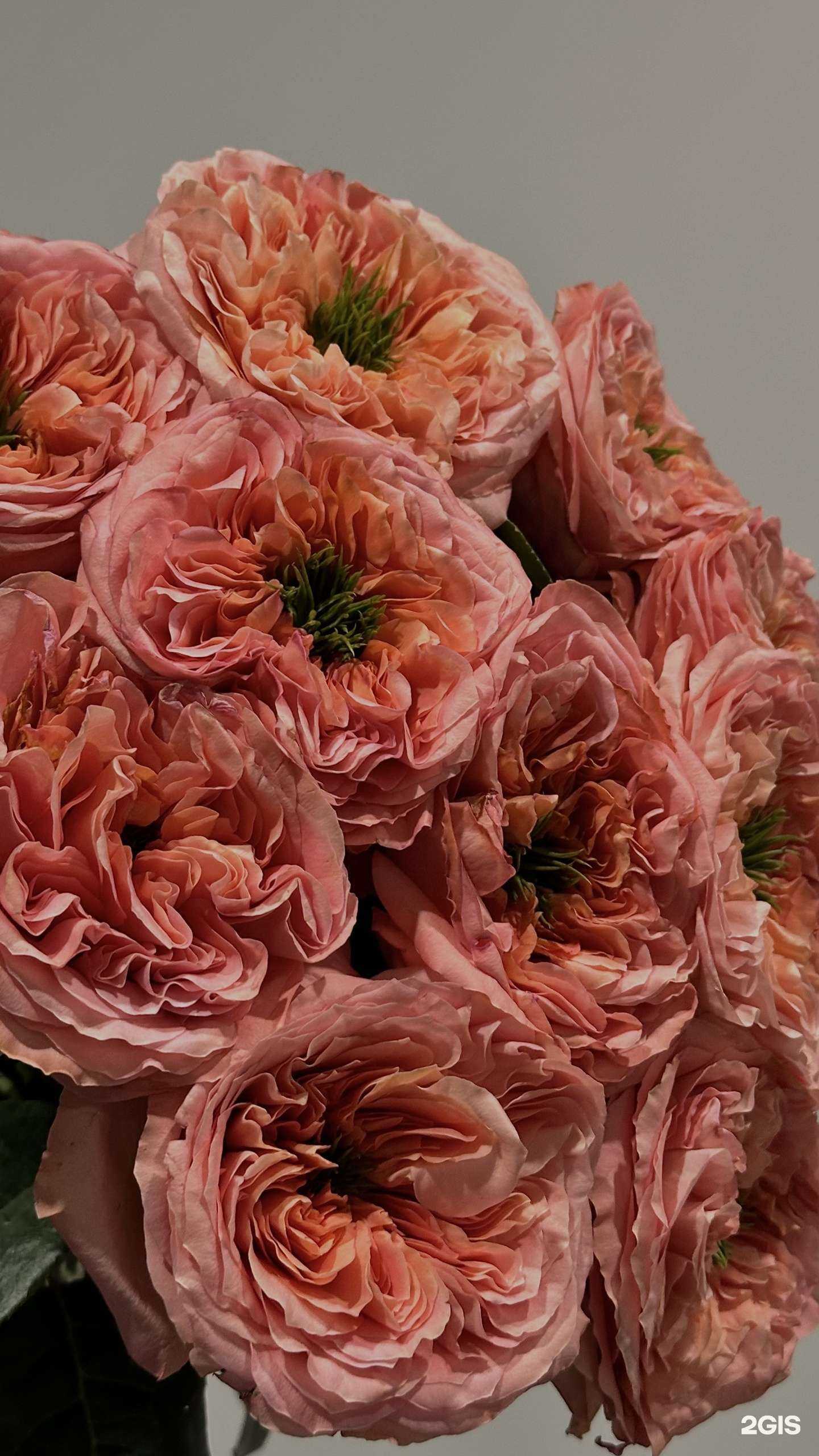 Отзывы на компанию Balu в Кемерове c фото