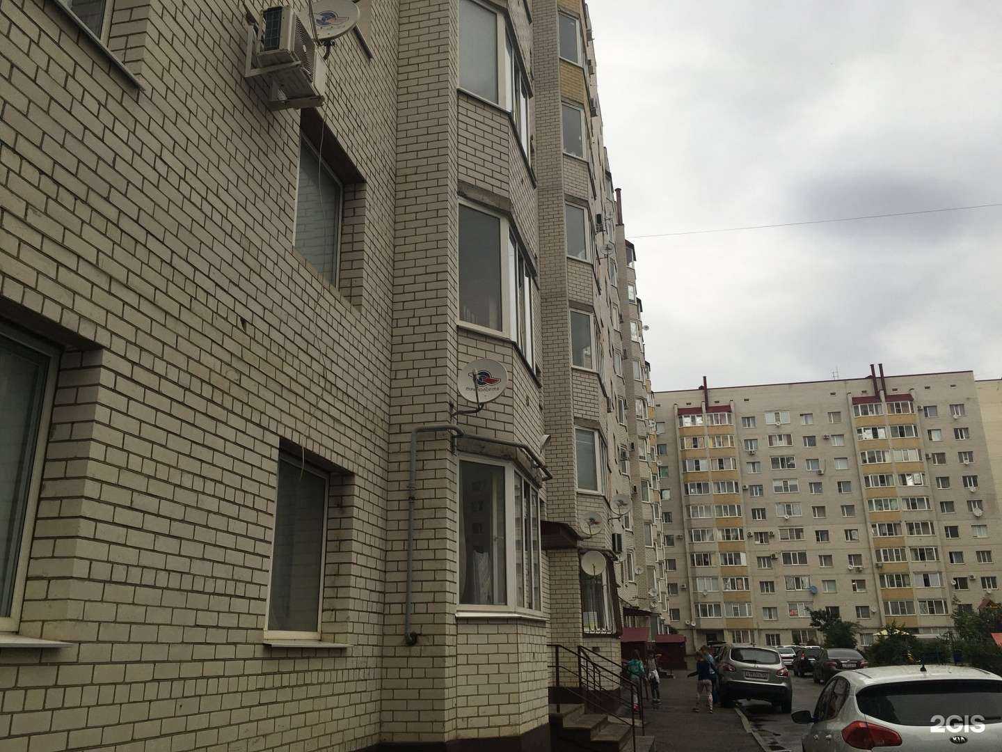 Отзывы на компанию Лосось в Ставрополе c фото