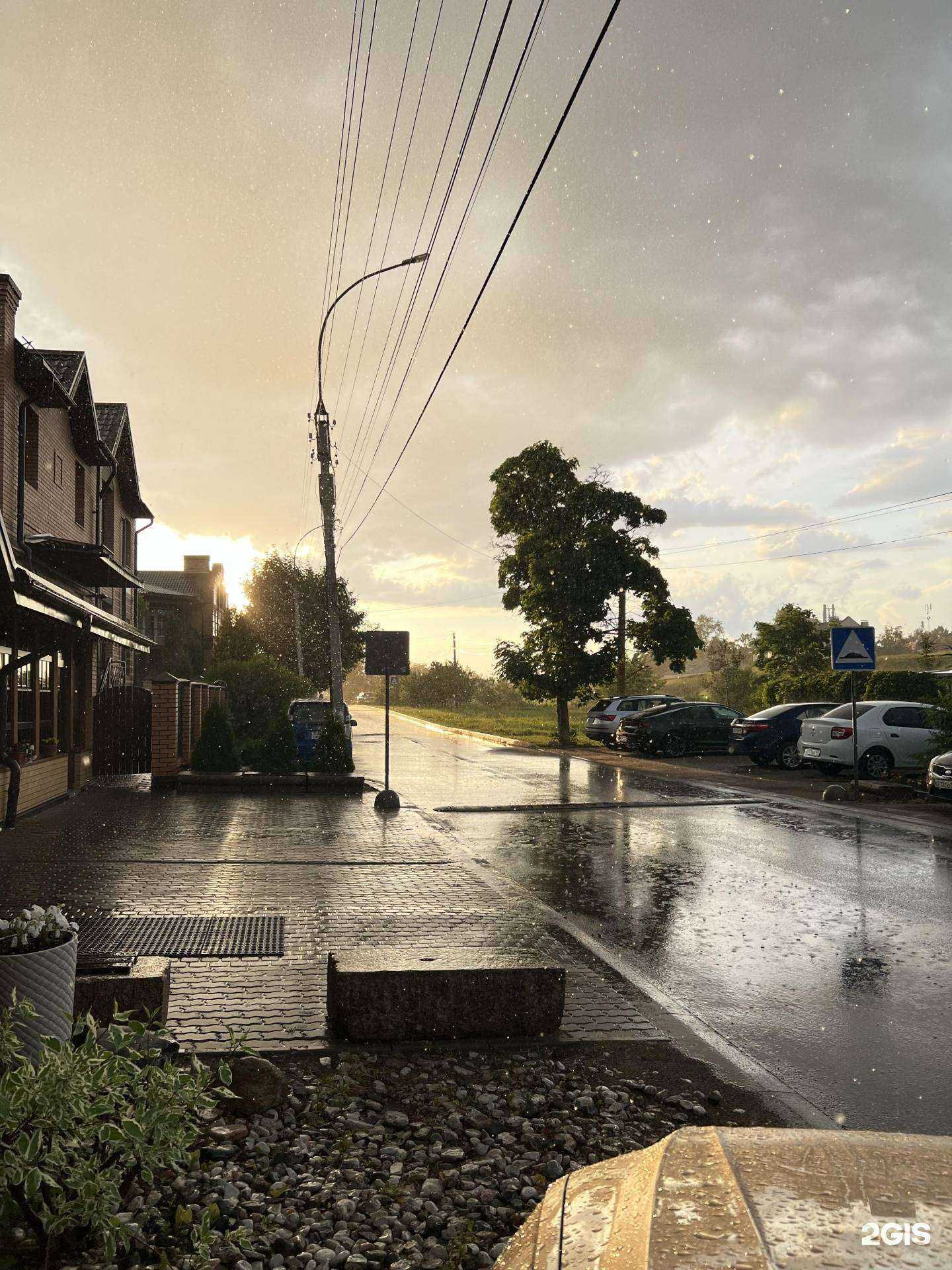 Отзывы на компанию Три кота в Великом Новгороде c фото