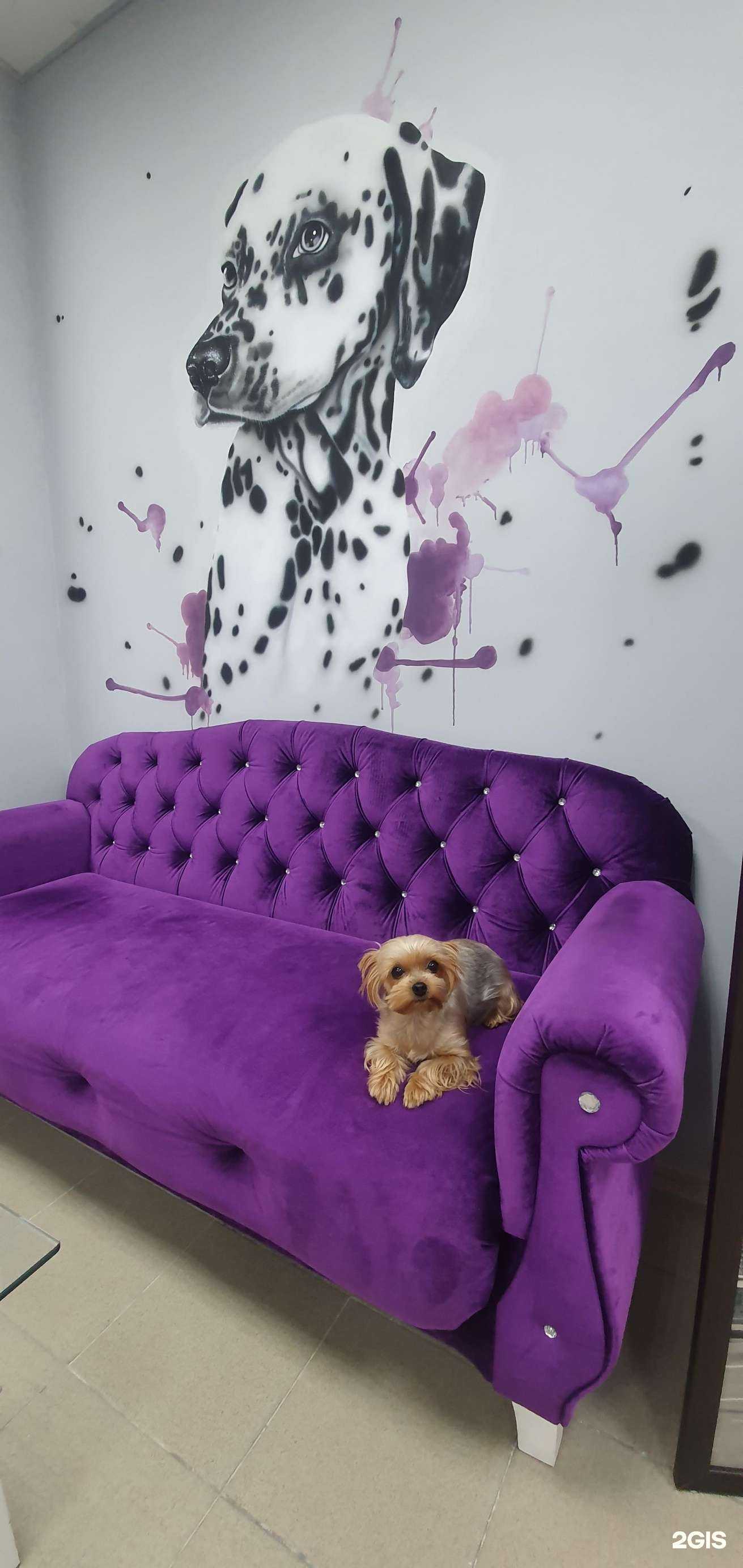 Отзывы на компанию Далматин в Сочи c фото