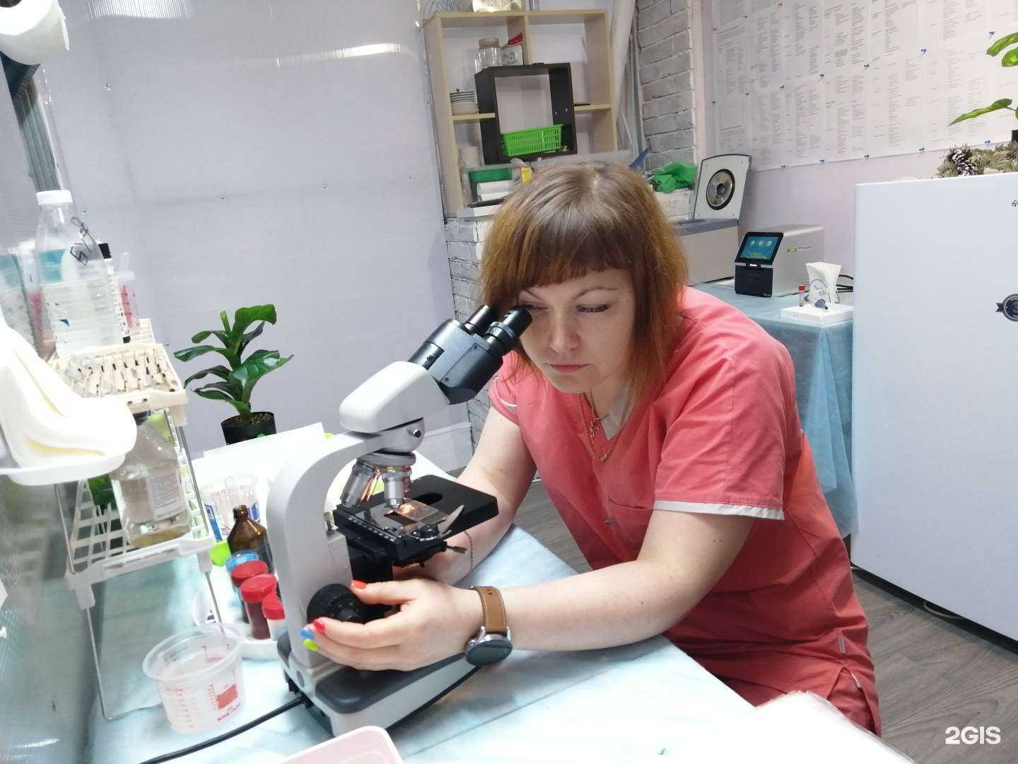 Отзывы на компанию Айбовет в г. Смоленск c фото