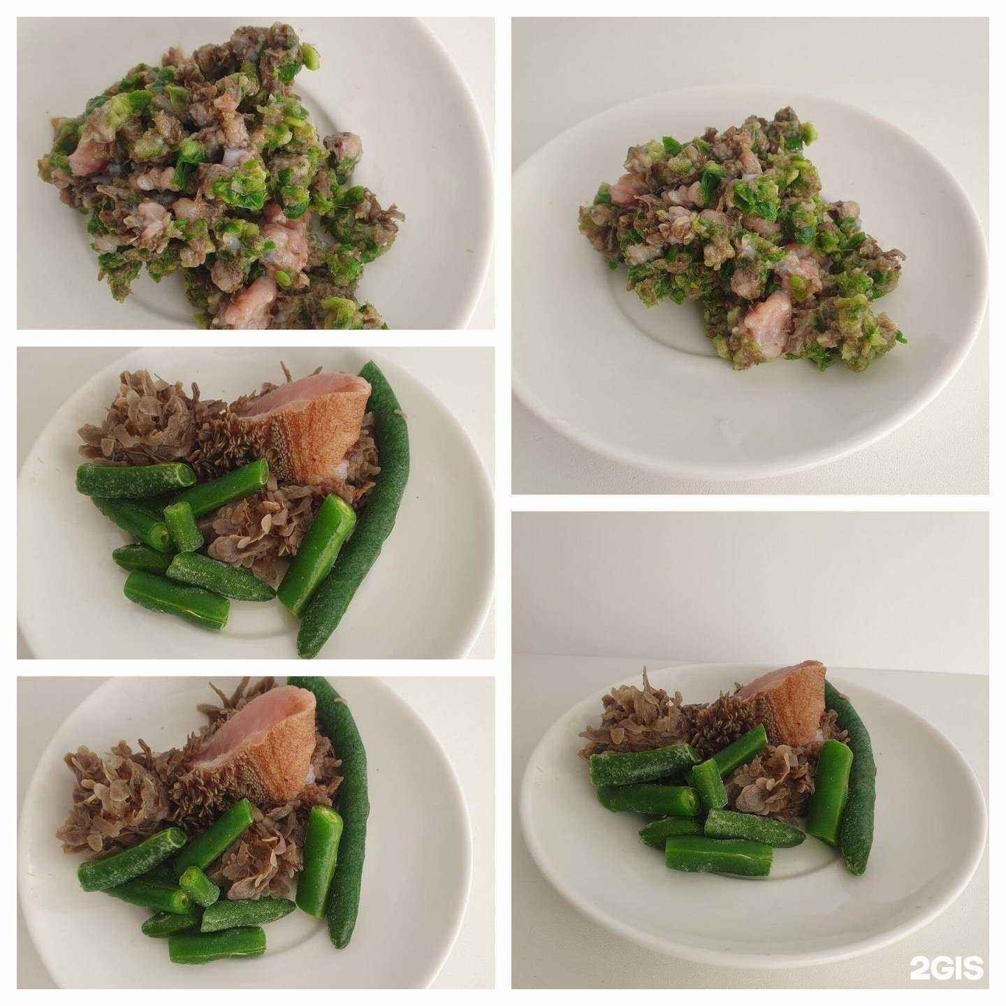 Отзывы на компанию DearDog72 в г. Тюмень c фото