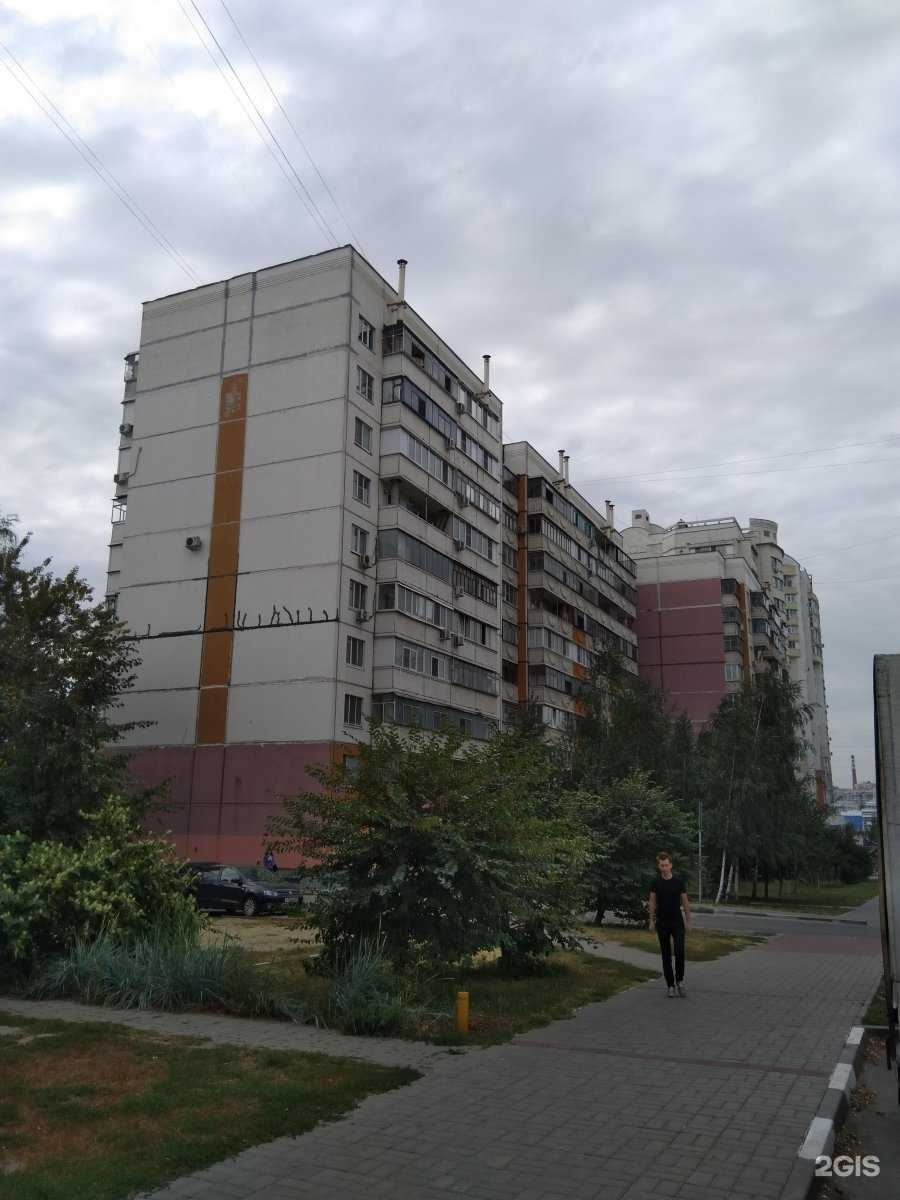 Отзывы на компанию Foggy doggy в Белгороде c фото - фотография 2 из 2