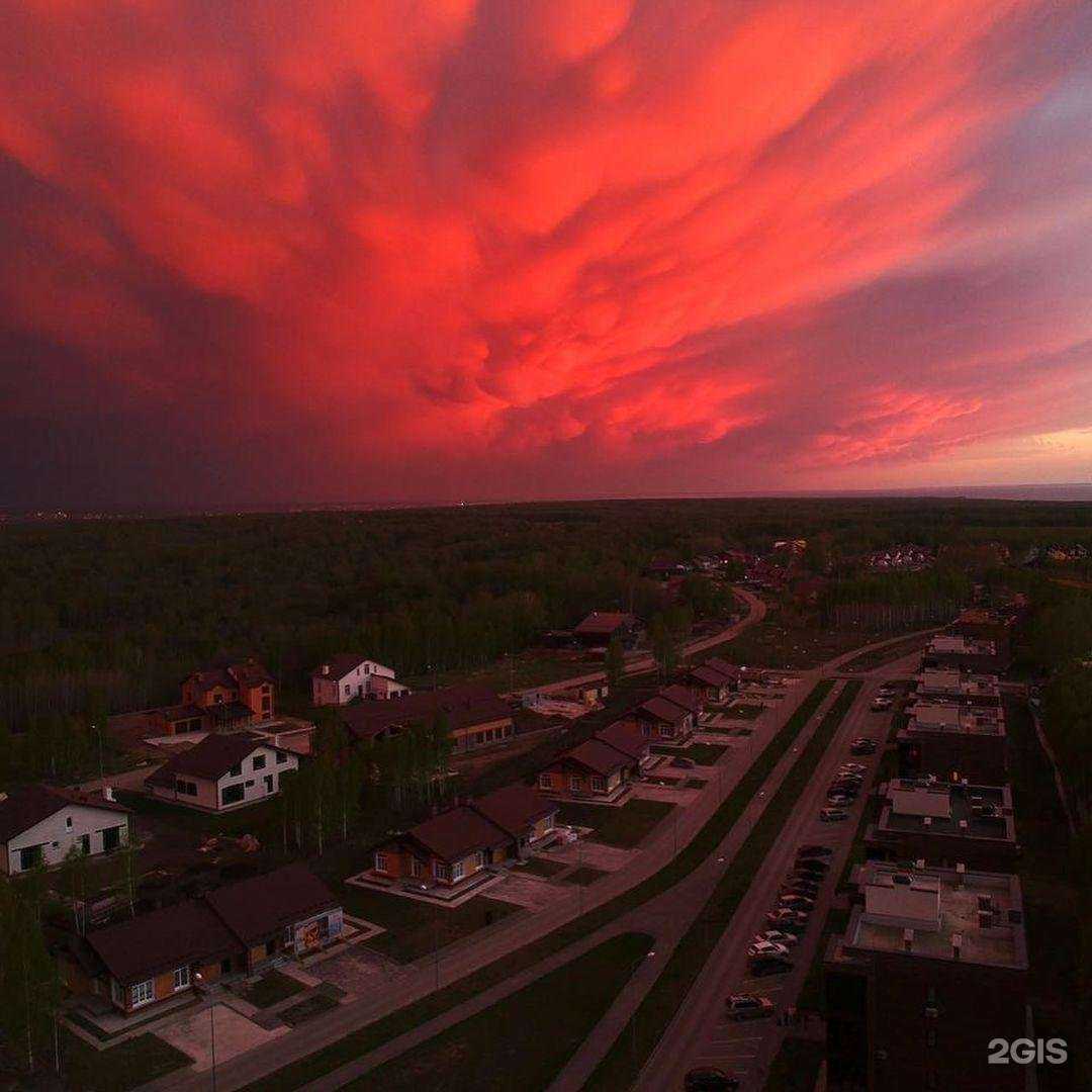 Отзывы на компанию Академпарк в Новосибирске c фото