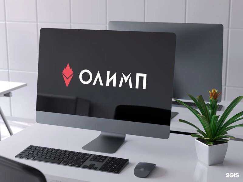 Отзывы на компанию Олимп в Фрязине c фото