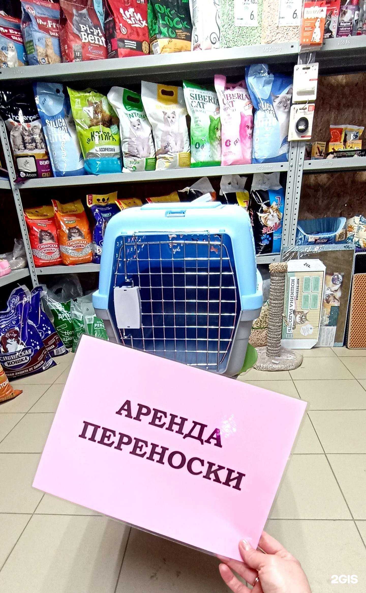 Отзывы на компанию Верные друзья в г. Красноярск c фото