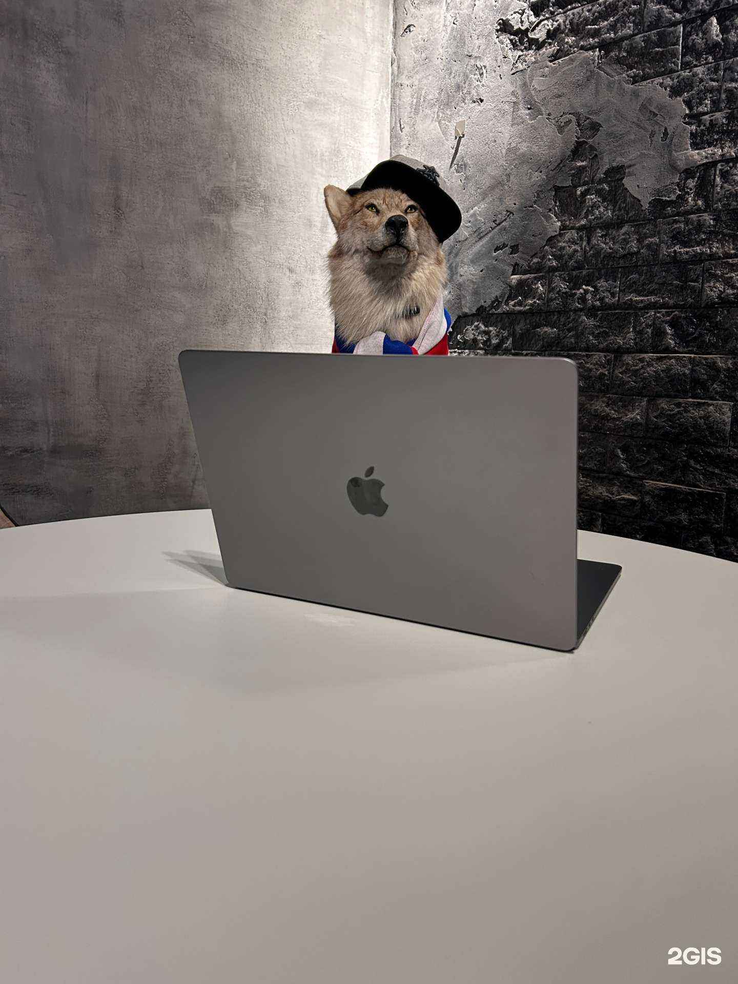 Отзывы на компанию Wolf в г. Пермь c фото