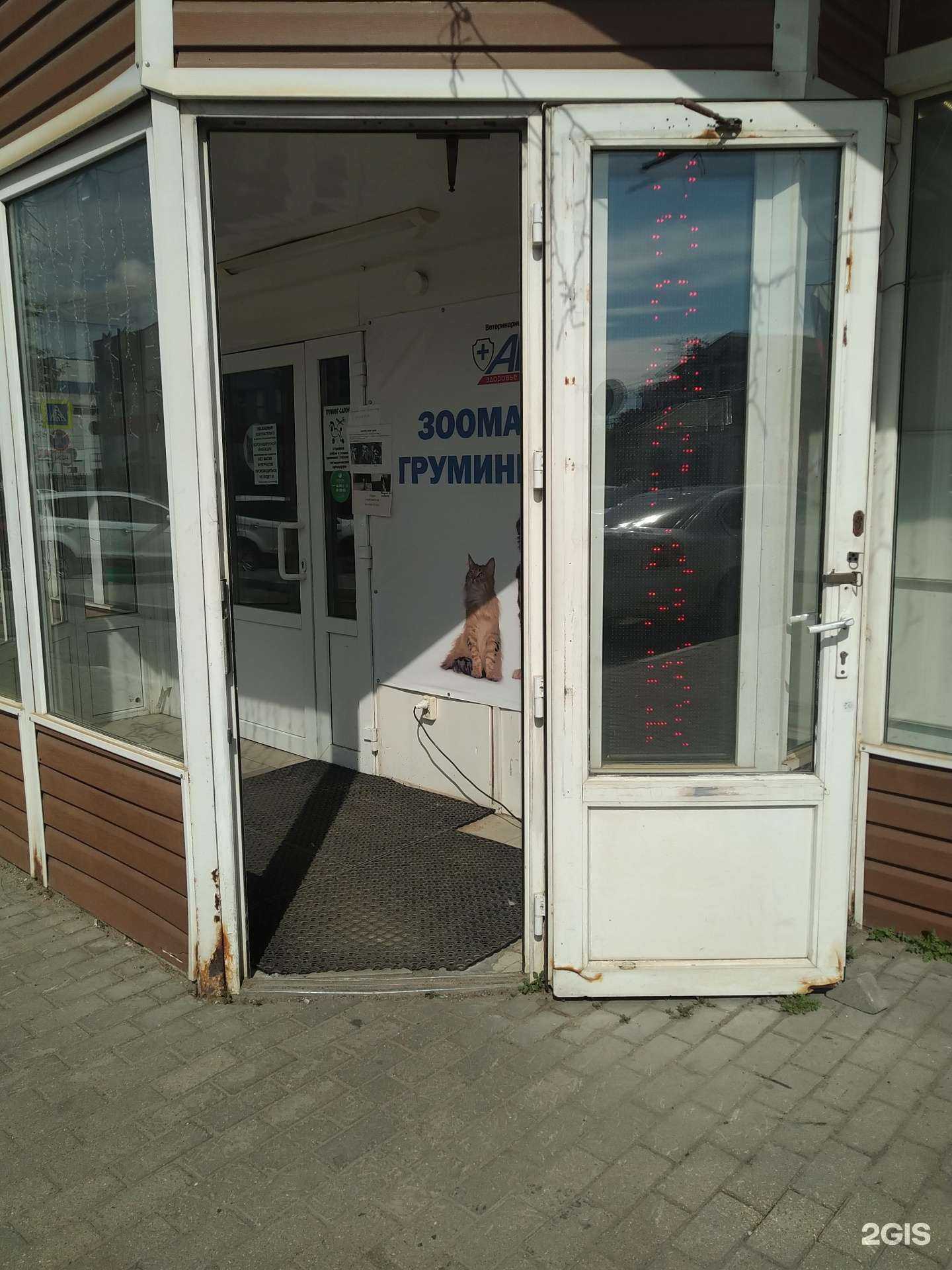 Отзывы на компанию Зверьё мое в Голицыне c фото