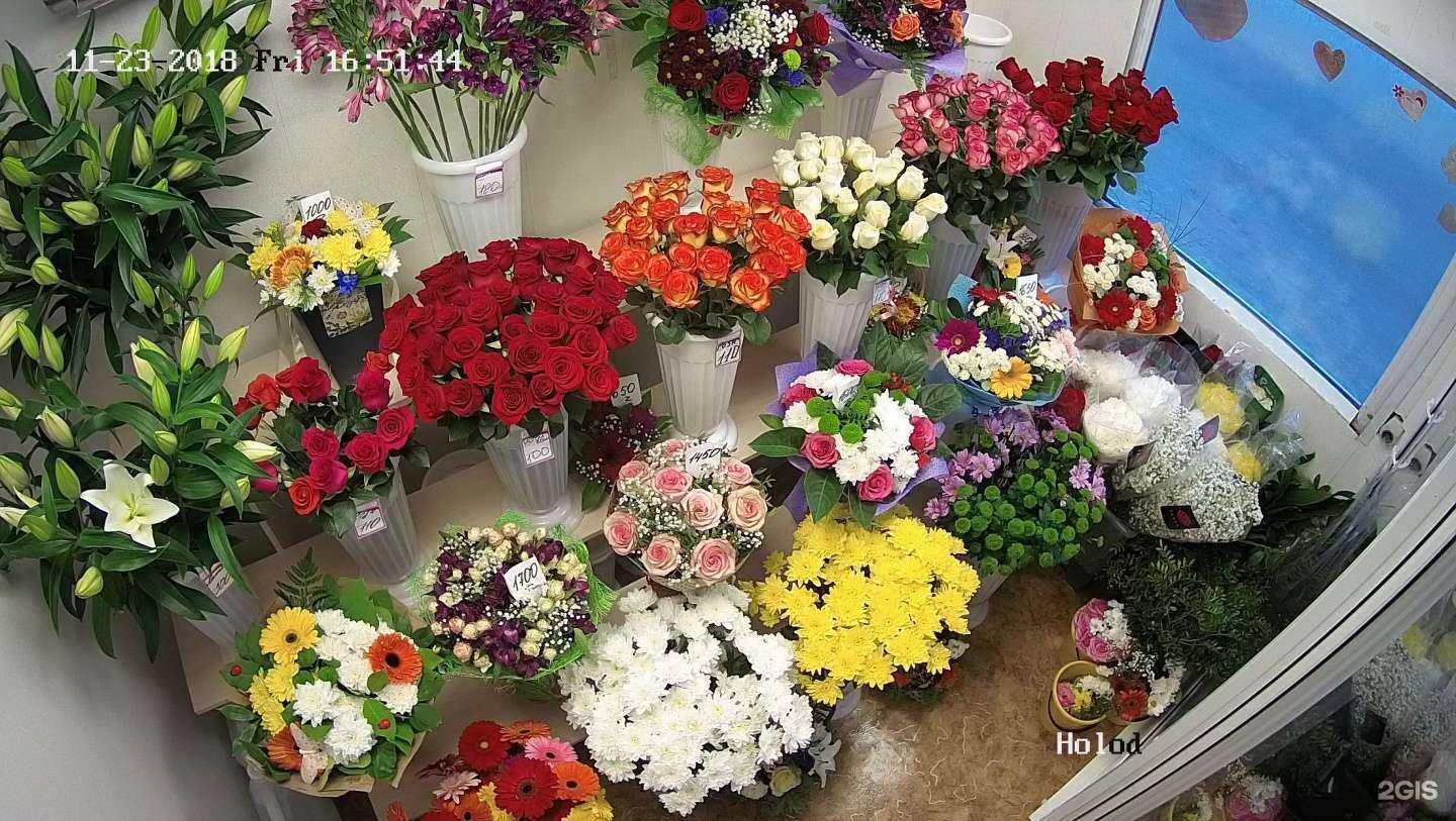 Отзывы на компанию Bestflo54 в Новосибирске c фото