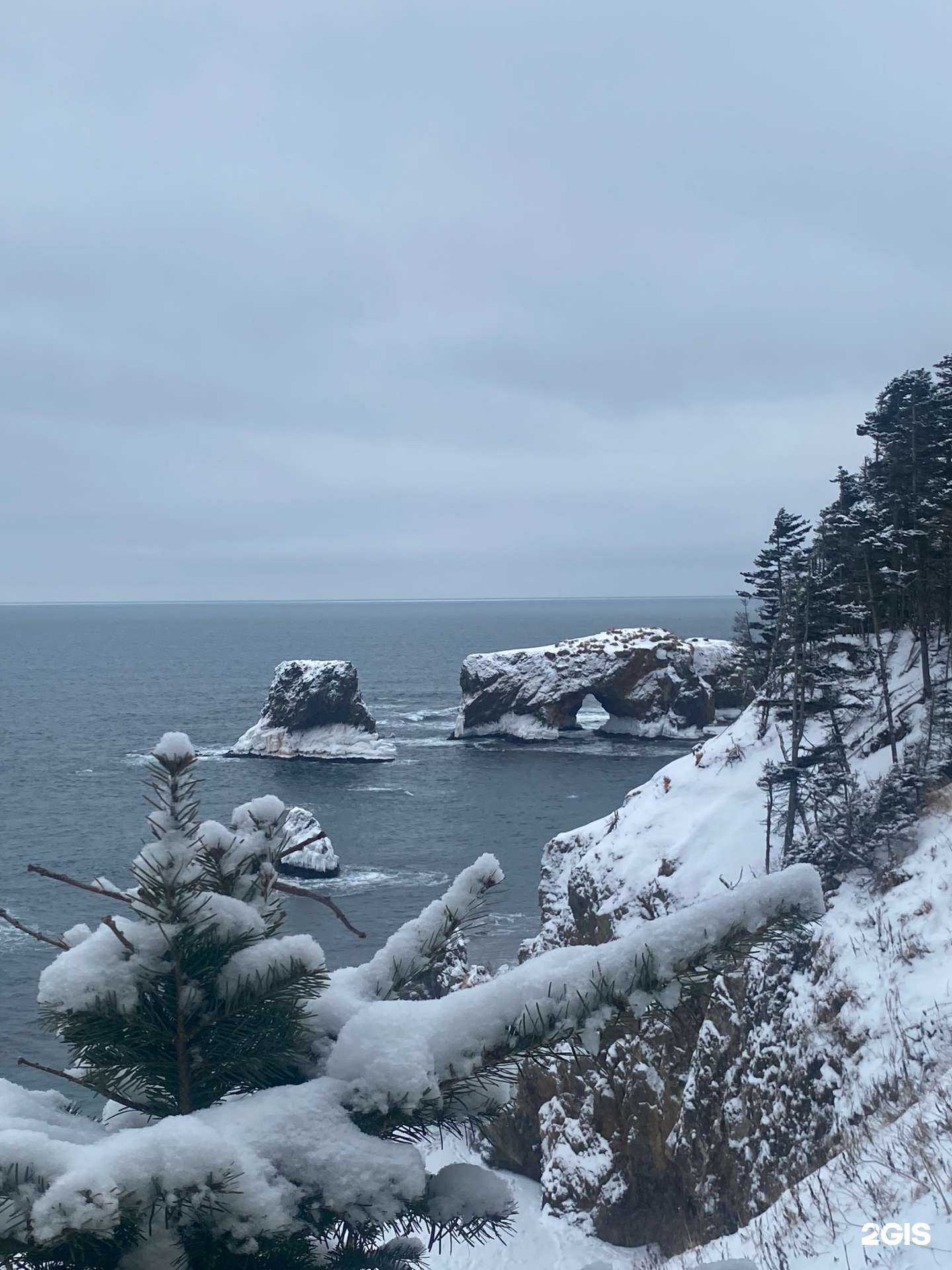 Отзывы на компанию Prosakh.ru в Южно-Сахалинске c фото