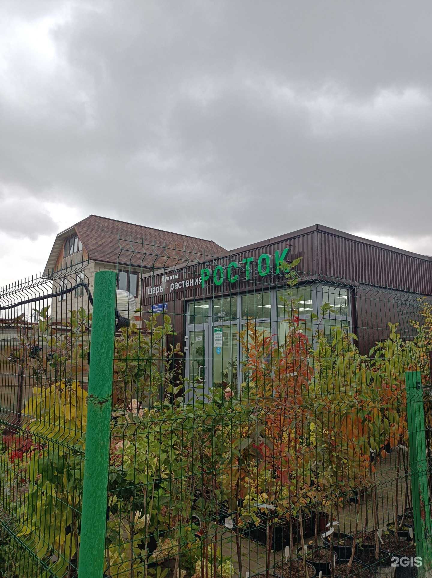 Отзывы на компанию Росток в г. Кашира c фото