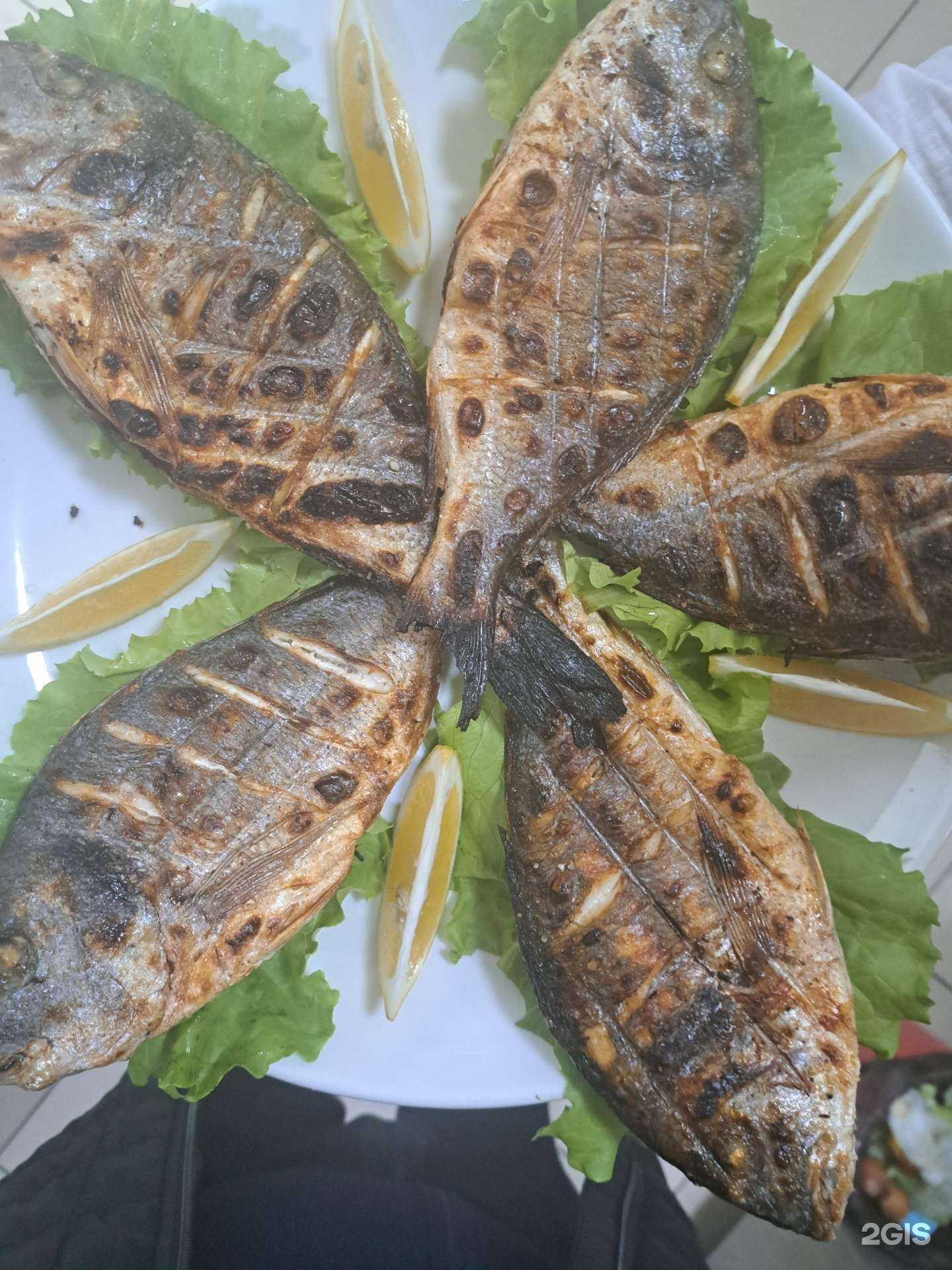 Отзывы на компанию Чинар в Ессентуках c фото