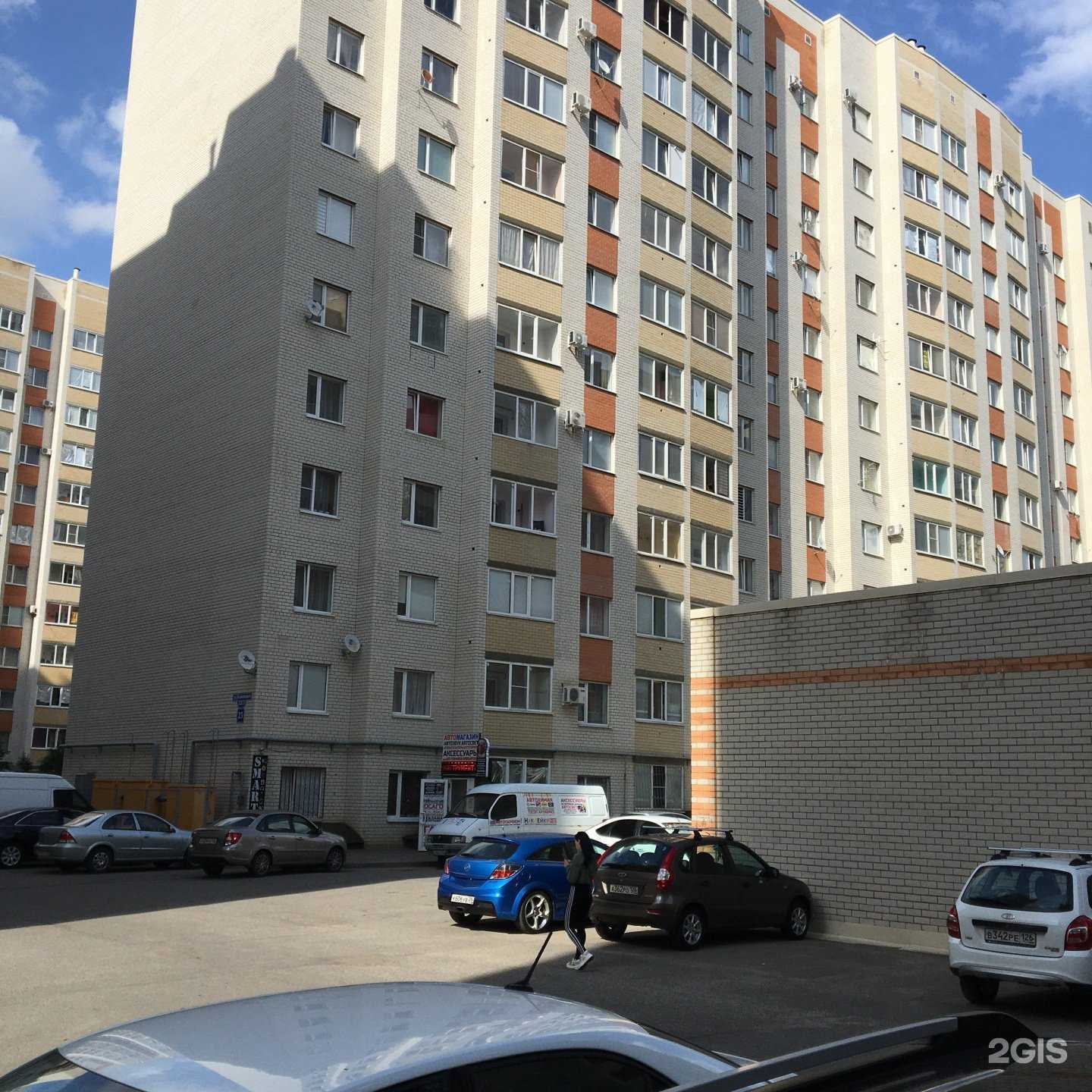 Отзывы на компанию Лапочки в Ставрополе c фото - фотография 2 из 2