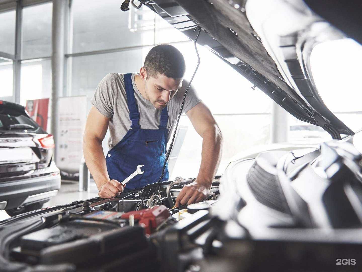 Отзывы на компанию Вирбакавто в Ставрополе c фото