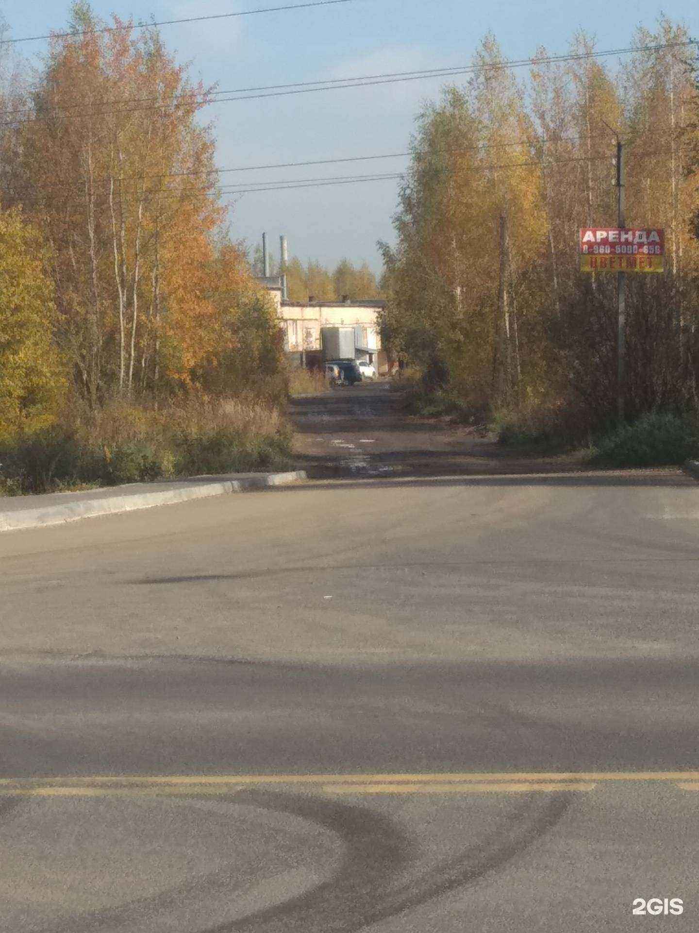 Отзывы на компанию Диана в Иванове c фото