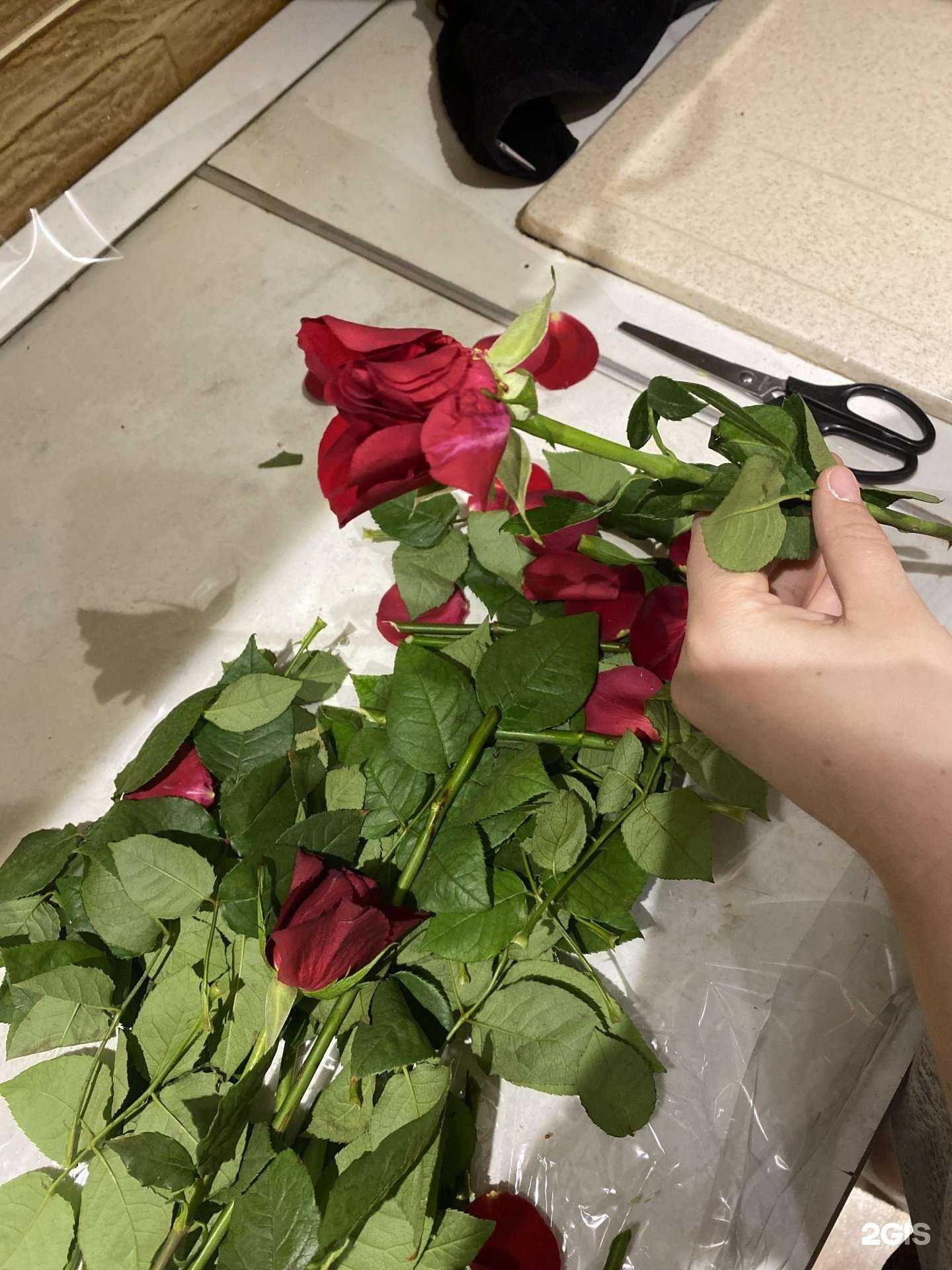 Отзывы на компанию Flower_stavropol_26 в Ставрополе c фото