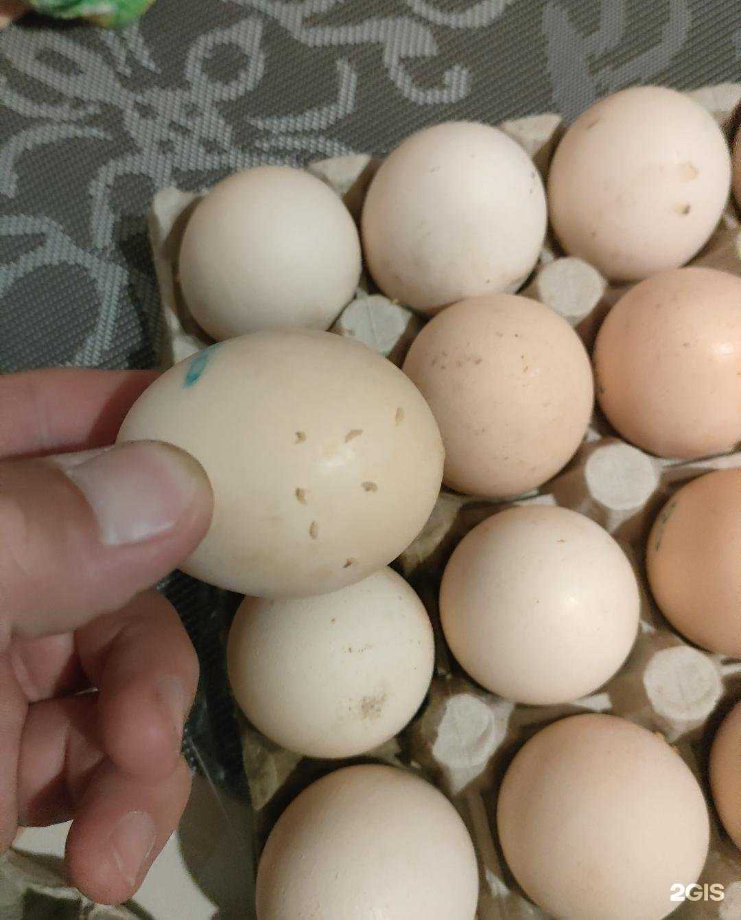 Отзывы на компанию Самокат в Омске c фото