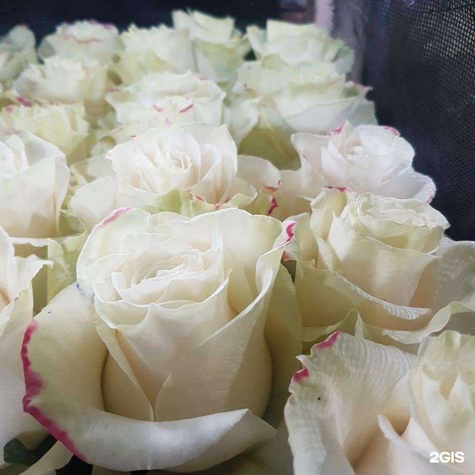 Отзывы на компанию GreenGar в Ульяновске c фото