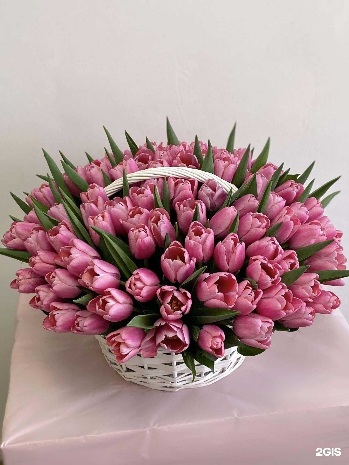 Отзывы на компанию Diva Flor в г. Пенза c фото