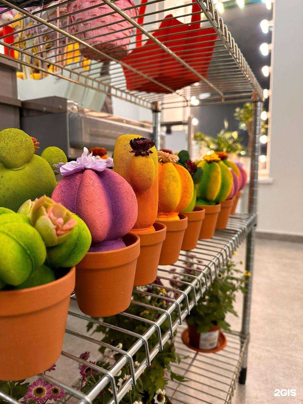 Отзывы на компанию Клумба в Альметьевске c фото