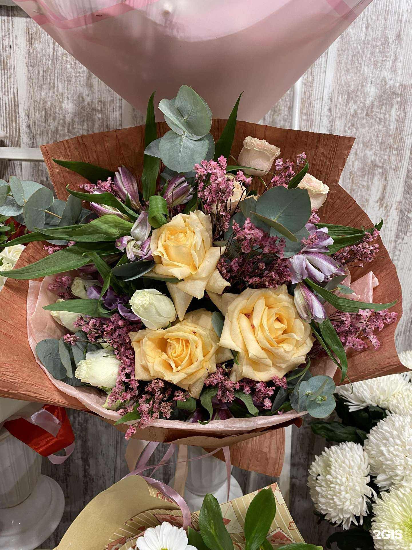 Отзывы на компанию Диана в Новосибирске c фото