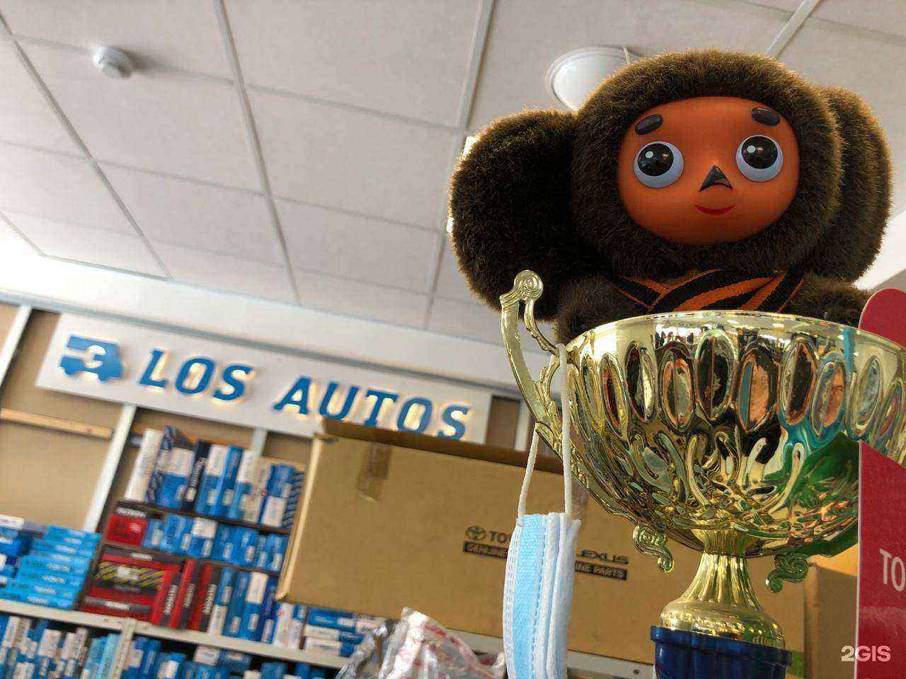 Отзывы на компанию Los Autos в г. Архангельск c фото