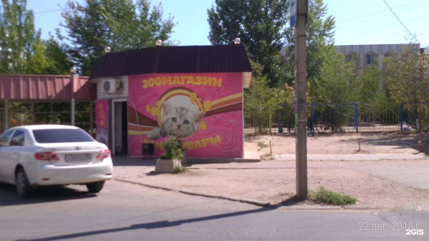Отзывы на компанию Зоомагазин в Астрахани c фото
