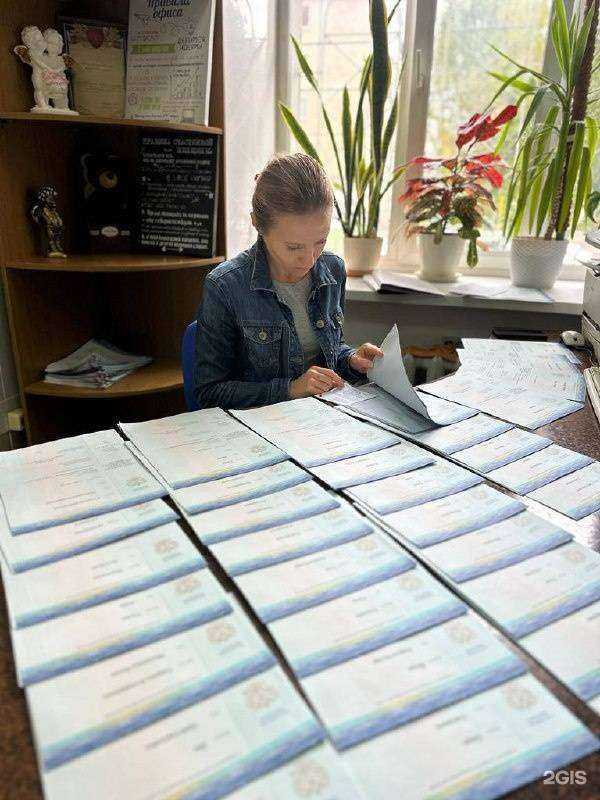 Отзывы на компанию Вирджиния в Йошкар-Оле c фото