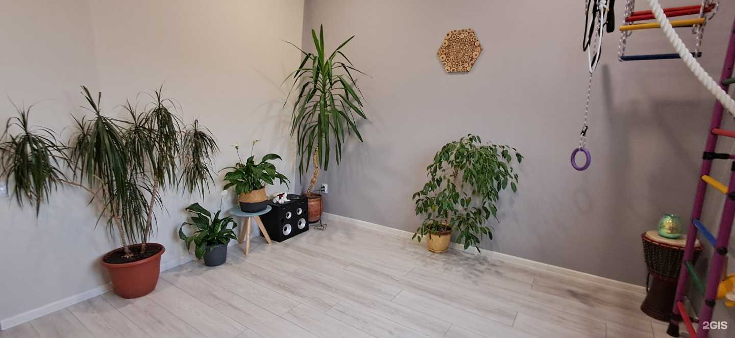 Отзывы на компанию Dao для сильных в Екатеринбурге c фото