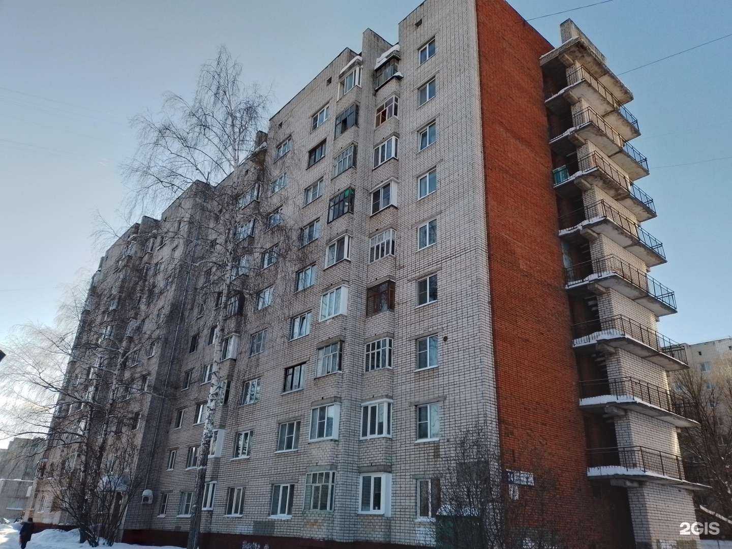 Отзывы на компанию Три Кота в Новочебоксарске c фото - фотография 2 из 2