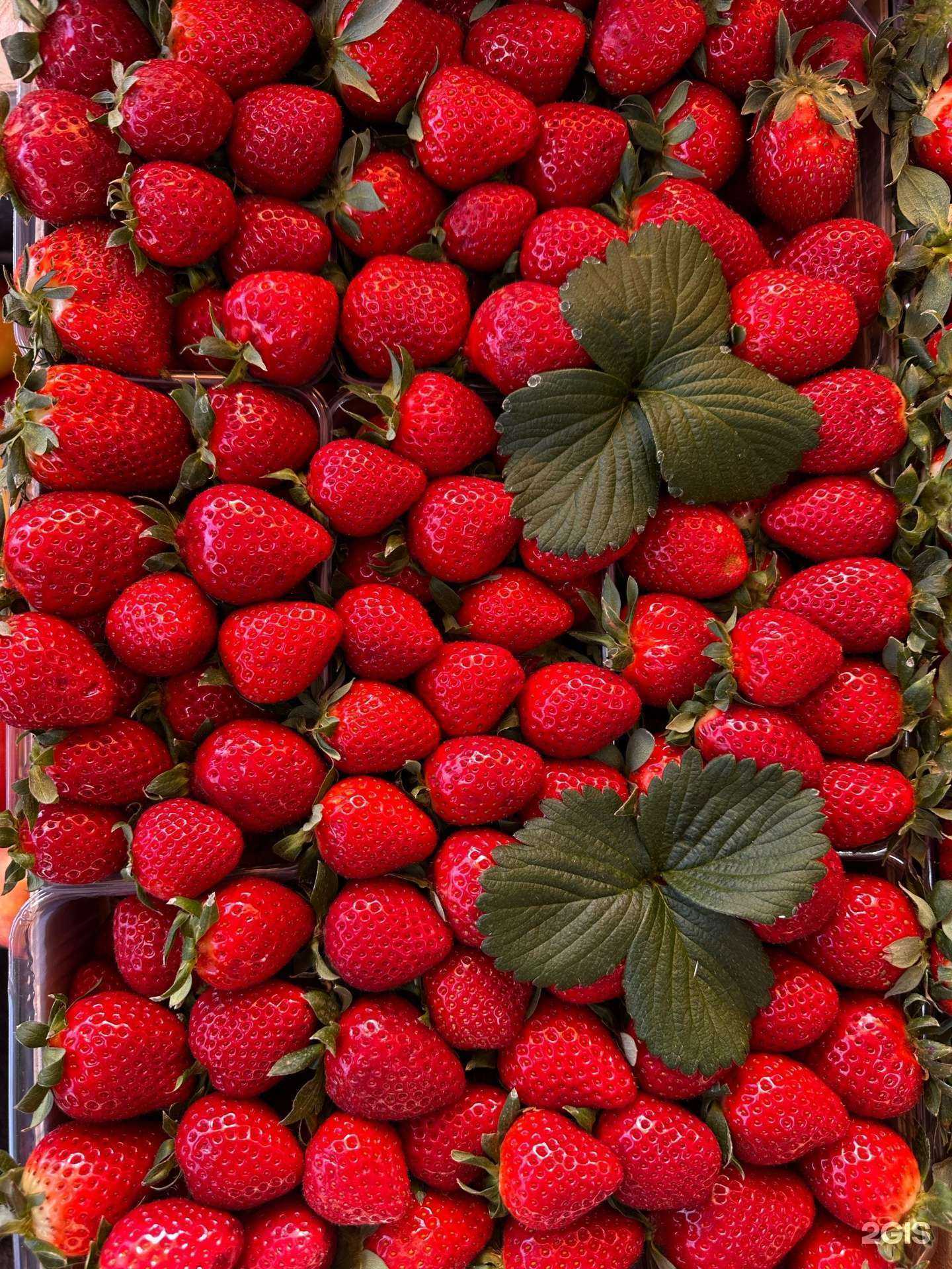 Отзывы на компанию Фрукты люкс в Новосибирске c фото