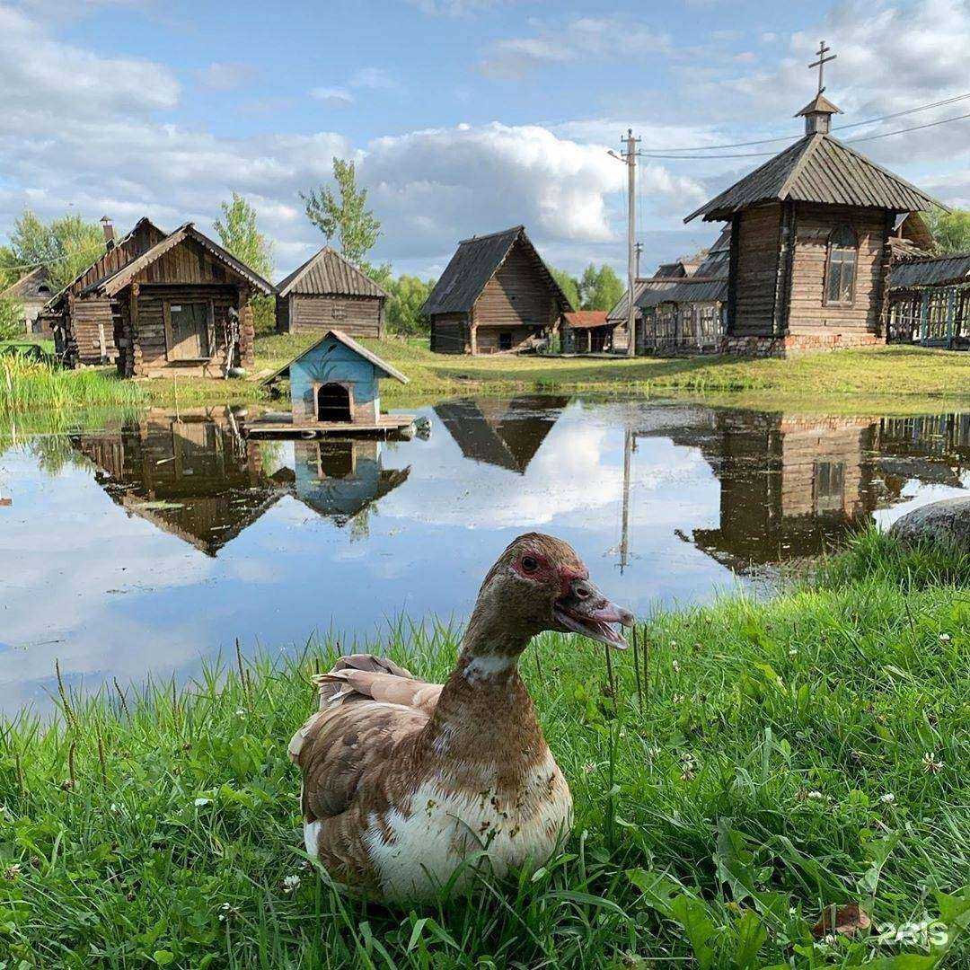 Отзывы на компанию Мышкин двор в Мышкине c фото
