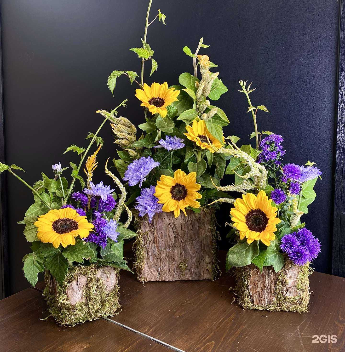 Отзывы на компанию Лаванда в Краснодаре c фото