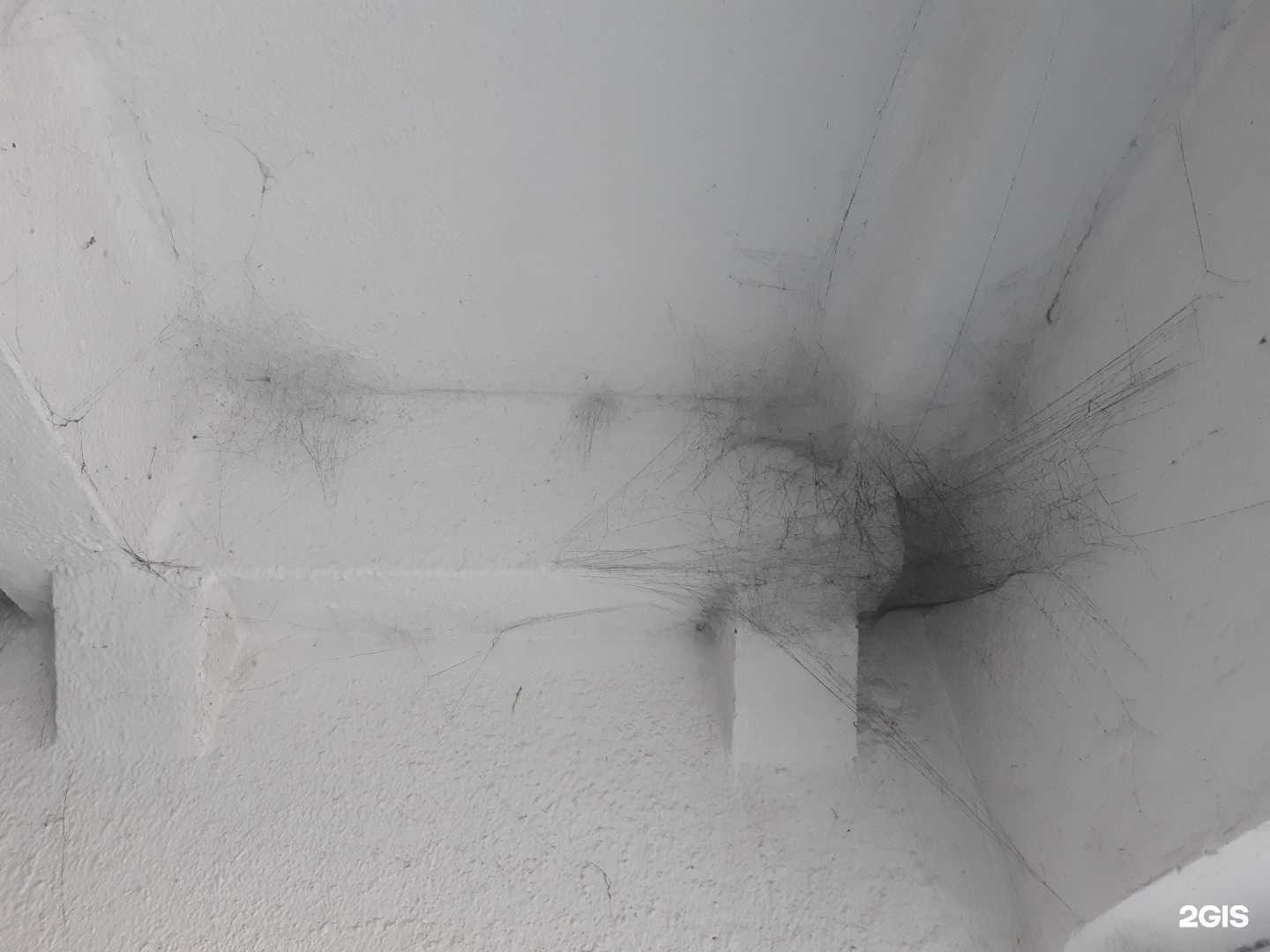 Отзывы на компанию Живая вода в Тюмени c фото - фотография 2 из 2