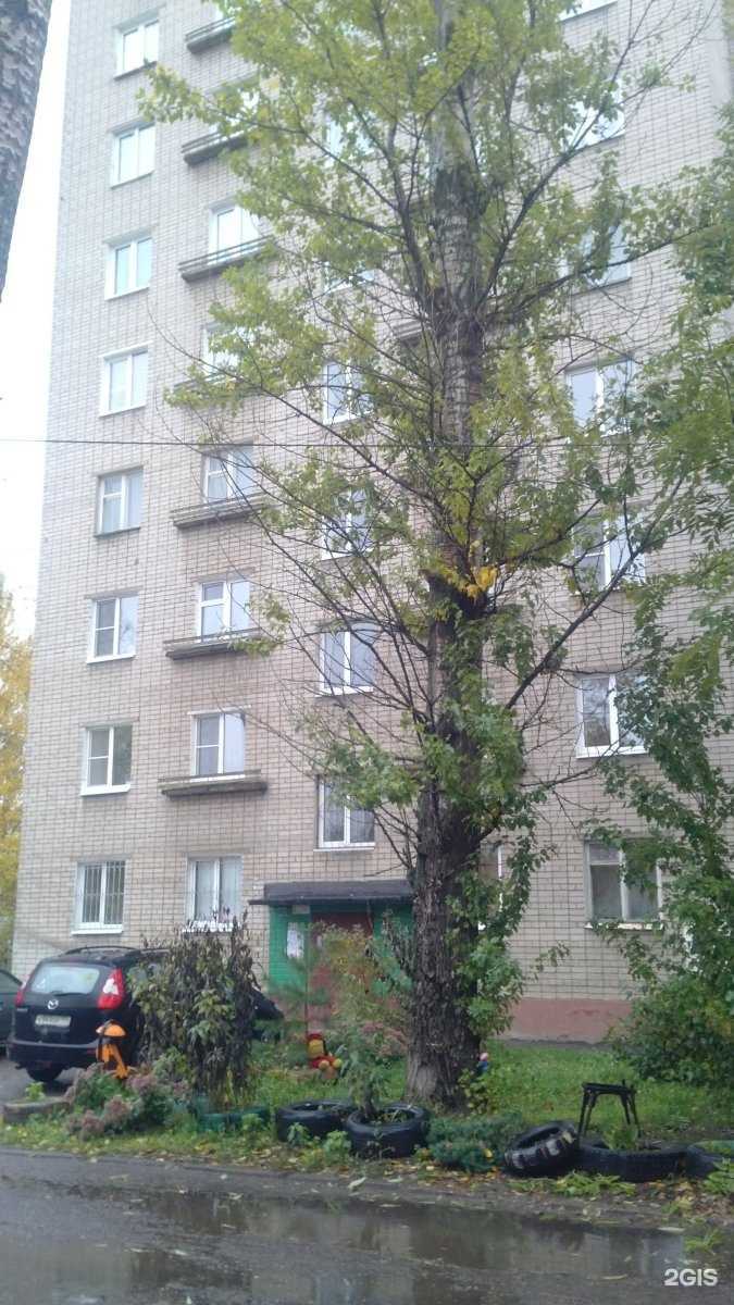 Отзывы на компанию Золотой ломбард в Ярославле c фото - фотография 2 из 2