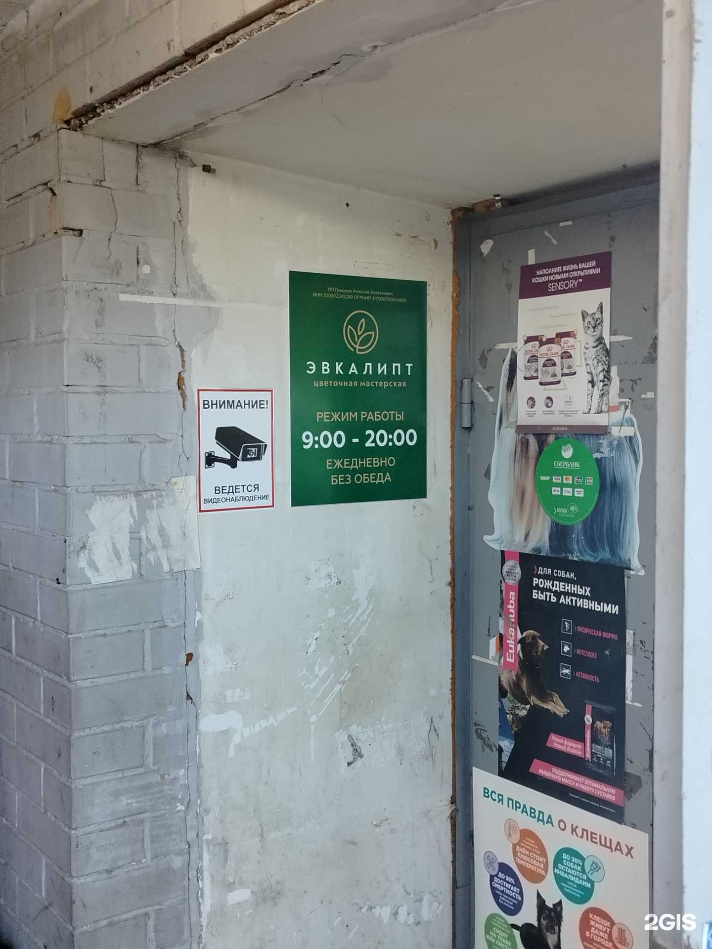 Отзывы на компанию Эвкалипт в г. Яхрома c фото