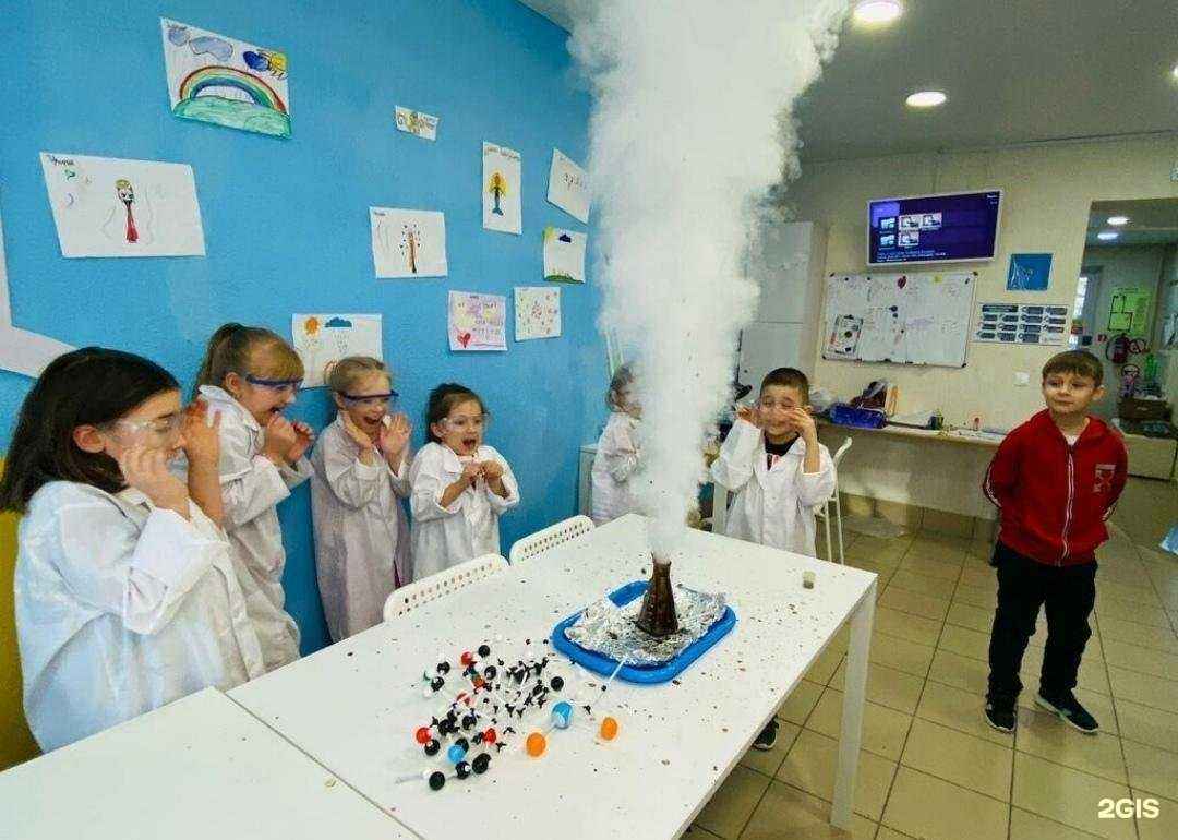 Отзывы на компанию Капибара в Благовещенске c фото